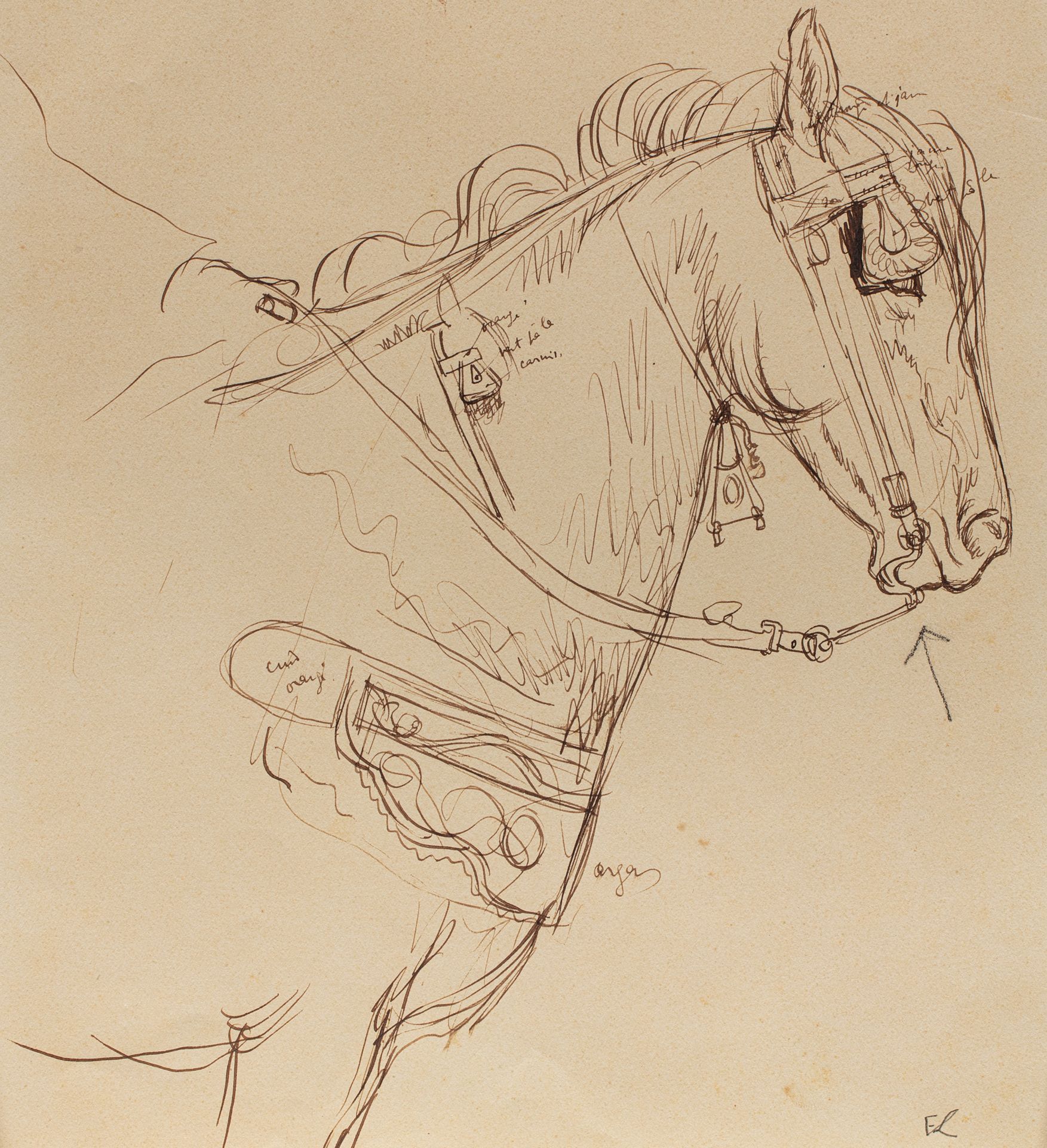 EDY LEGRAND (Bordeaux 1892- Bonnieux 1970) Tête de cheval Encre sur papier 29x17&hellip;