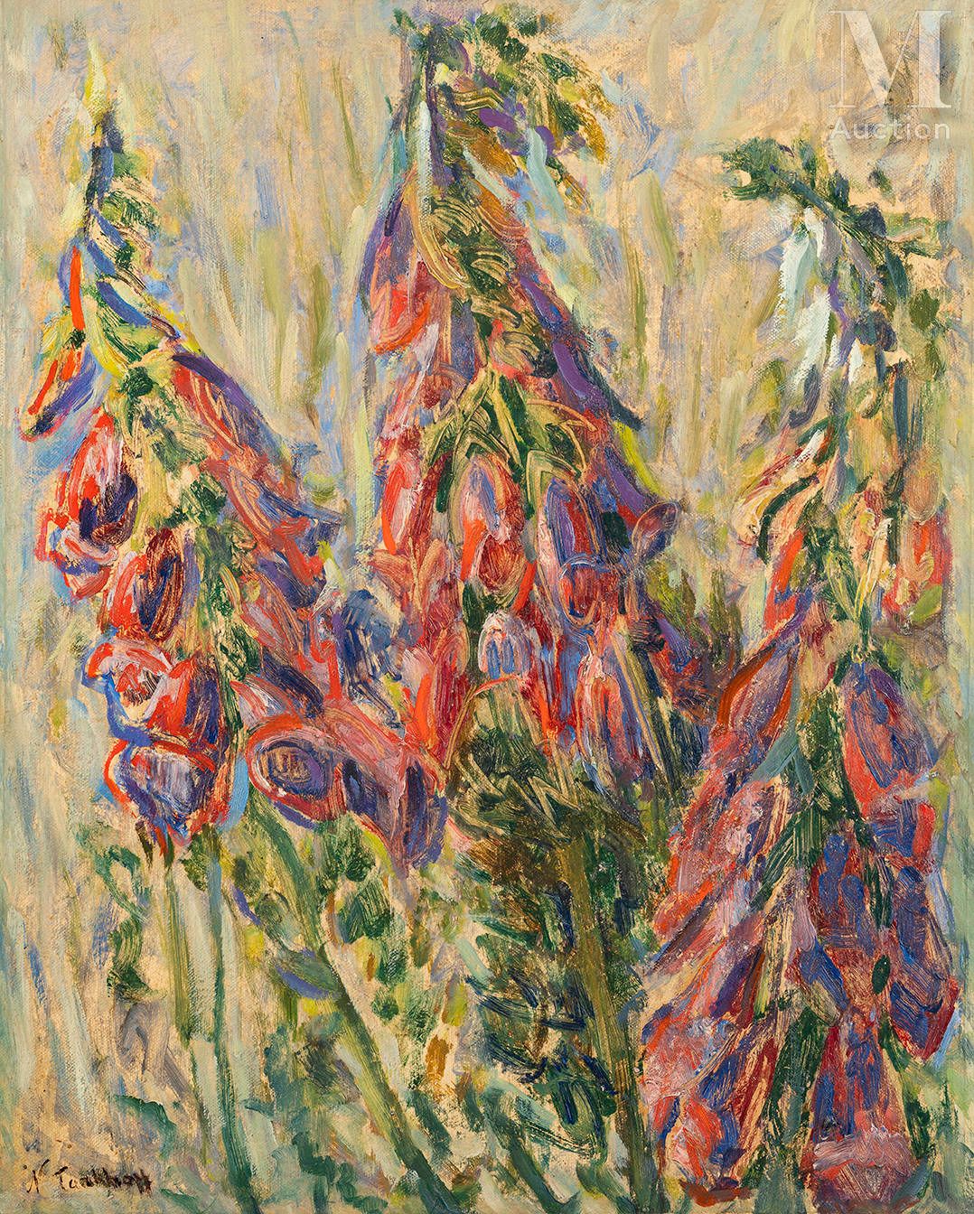 Nicolas Tarkhoff (1871-1930). Die purpurnen Fingerhüte.

Öl auf Leinwand, unten &hellip;