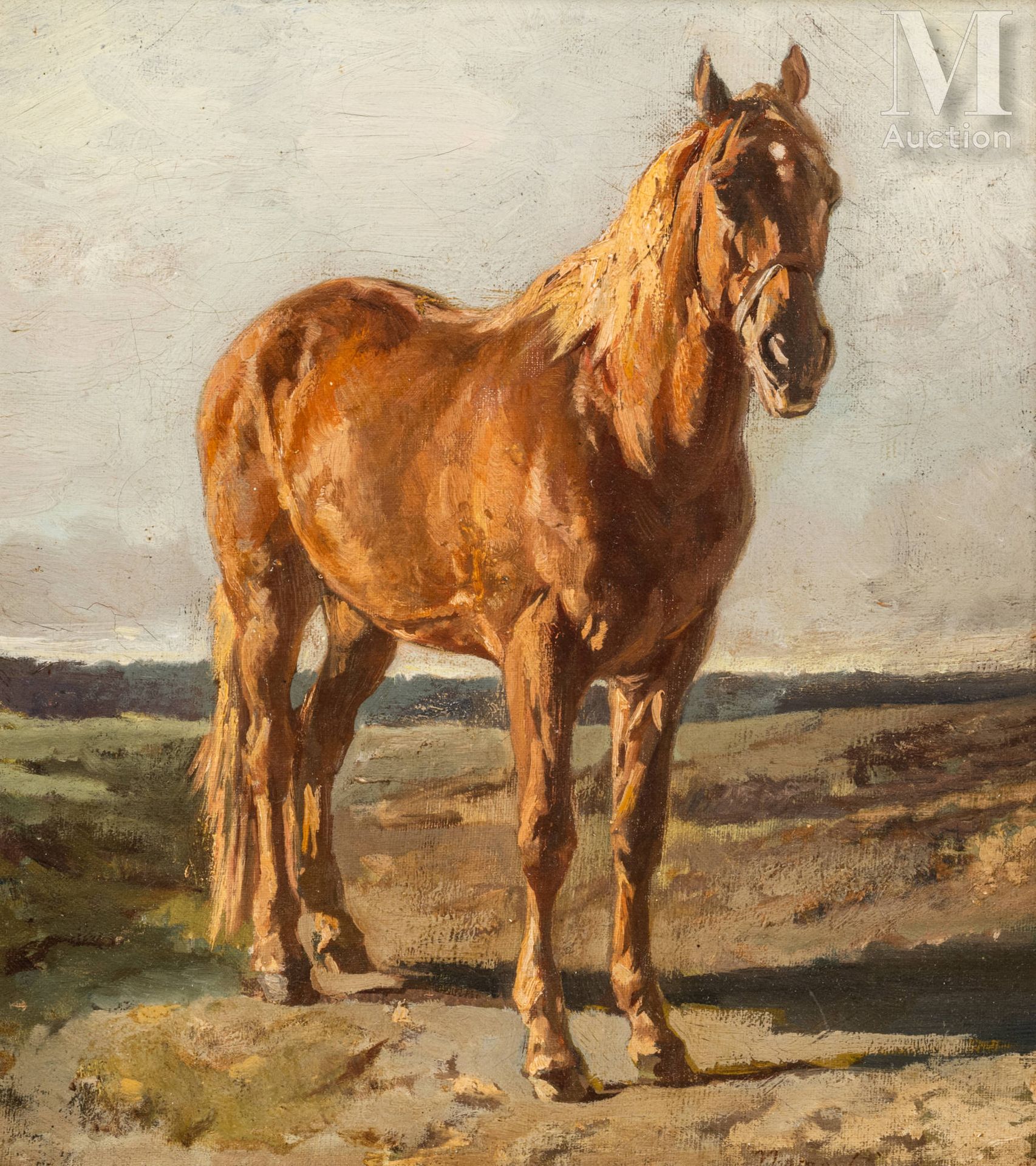 Petr Petrovich SOKOLOV (1821-1899). 草地上的栗子马（1881年）。

布面油画，右下方有俄文签名和日期。

装在一个漂亮的鎏&hellip;