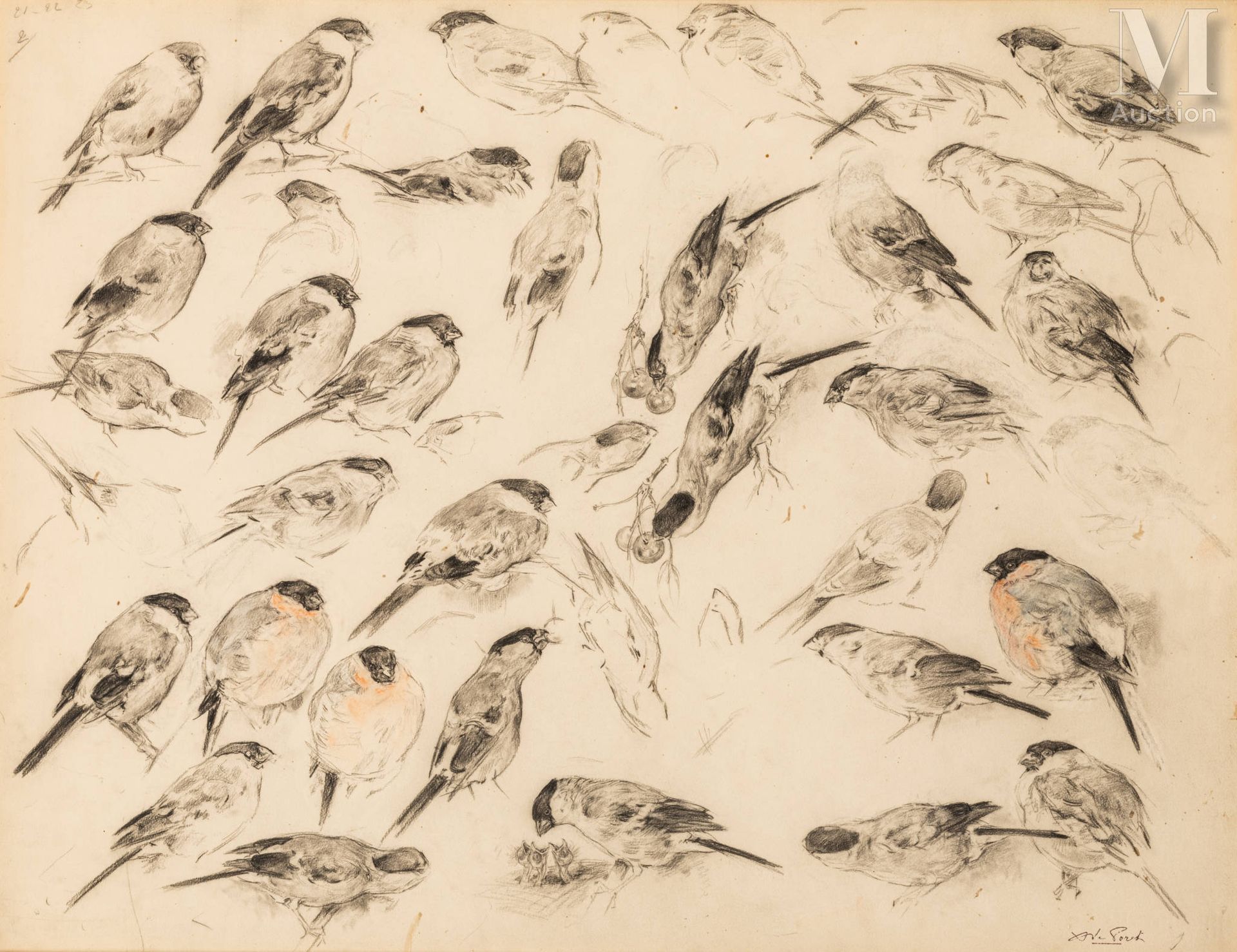 Xavier de PORET (Dinan 1894 – Chambéry 1975) Etude d’oiseaux



Crayon noir

50 &hellip;