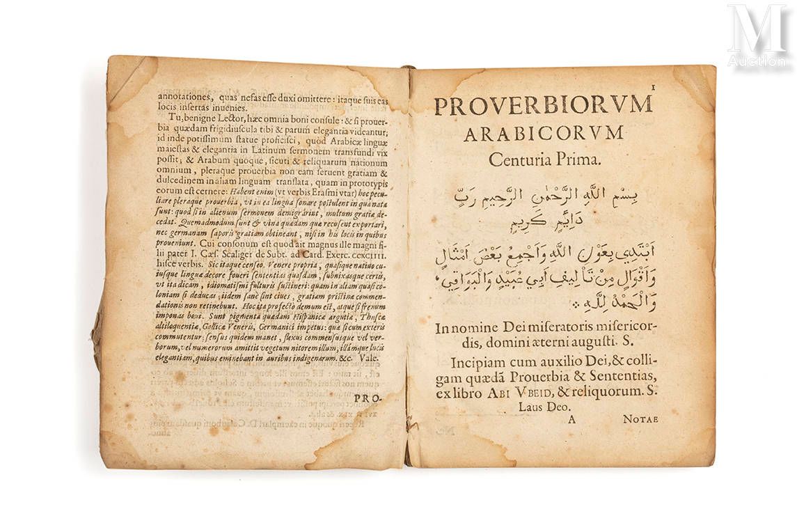 Null Kitab al-Amthal.Seu Proverbiorum Arabicorum Centuriae Duae. Ab anonymo quod&hellip;