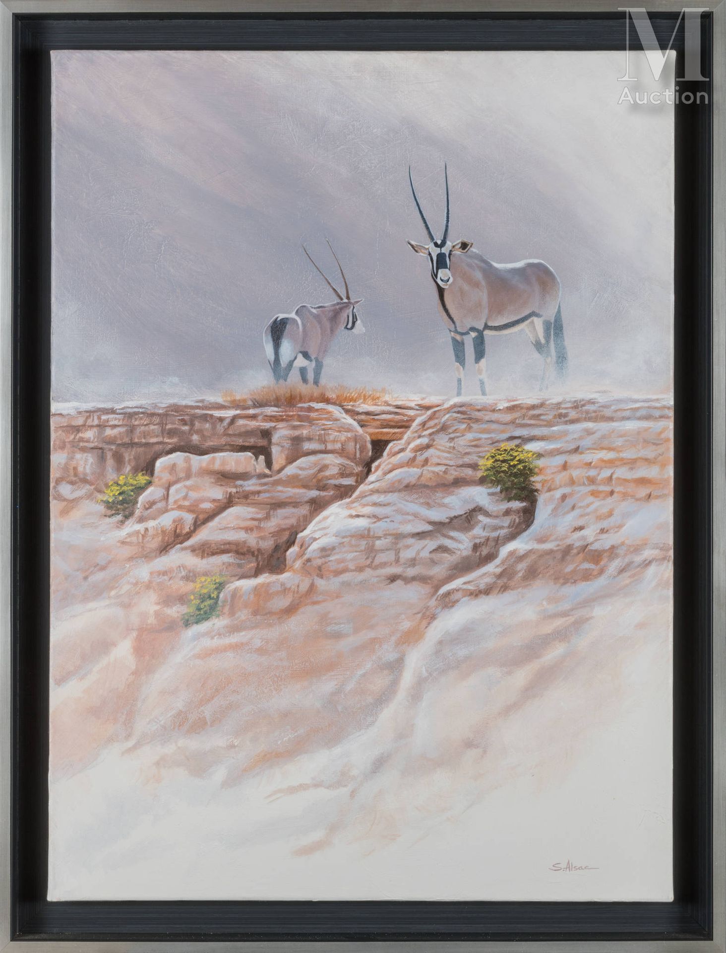 Stéphane ALSAC (1976) "达马拉兰的大羚羊
布面油画
右下方有签名 
73 x 54 cm