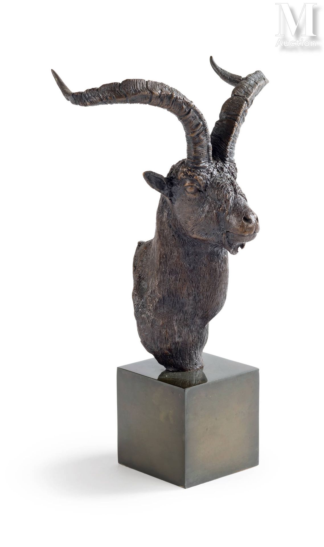 Antonio COELLO DE PORTUGAL (1948) 西班牙山羊半身像
签署了葡萄牙的A COELLO铜像
1990年，编号为57/75
高度：2&hellip;