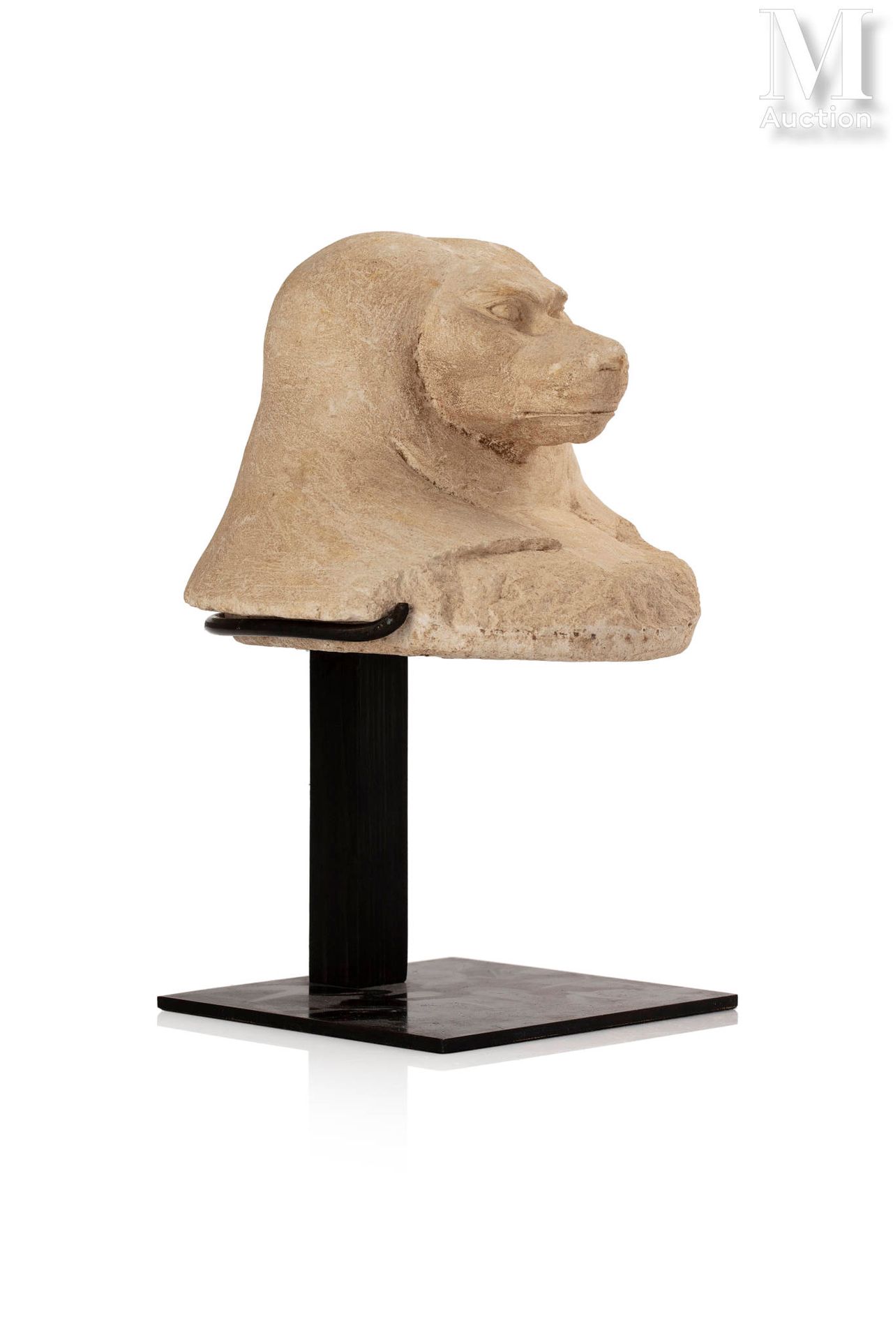 Couvercle de vase canope représentant Hâpy (le babouin) Limestone.
Egypt, Late P&hellip;
