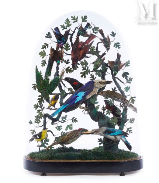 Null BEAU GLOBE D'OISEAUX
Seize oiseaux présentés dans un globe ancien d'époque &hellip;
