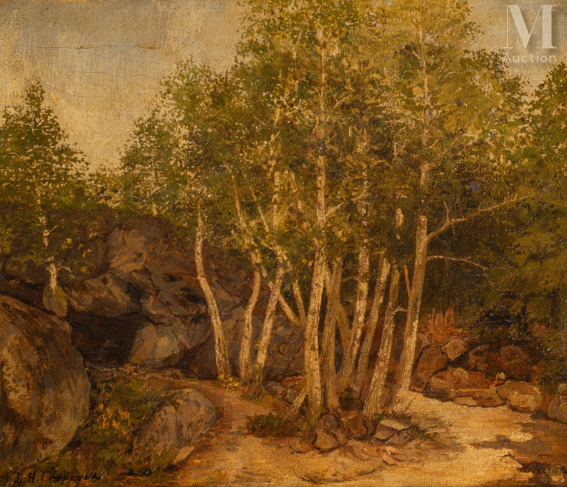 Demeter Haralamb CHIPARUS (1886 - 1947) Arbres dans la forêt de Barbizon

Huile &hellip;