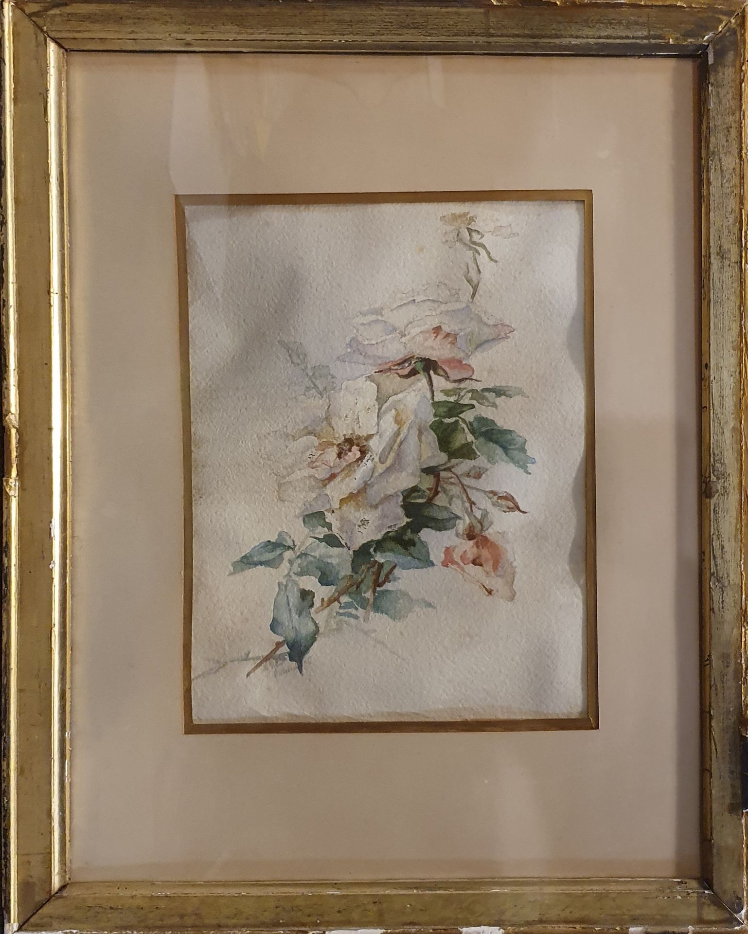 Null YVERT Marie Hector (1808-?)

鲜花，96年11月

纸上水彩画，左下角有签名和日期

翘曲和发霉

30 x 23 cm