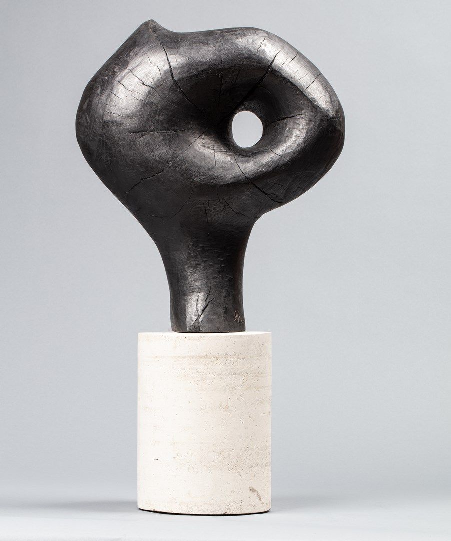 Null SEBBAN ARno, né en 1975

Coq, 2015

bois sculpté et patiné au graphite sur &hellip;