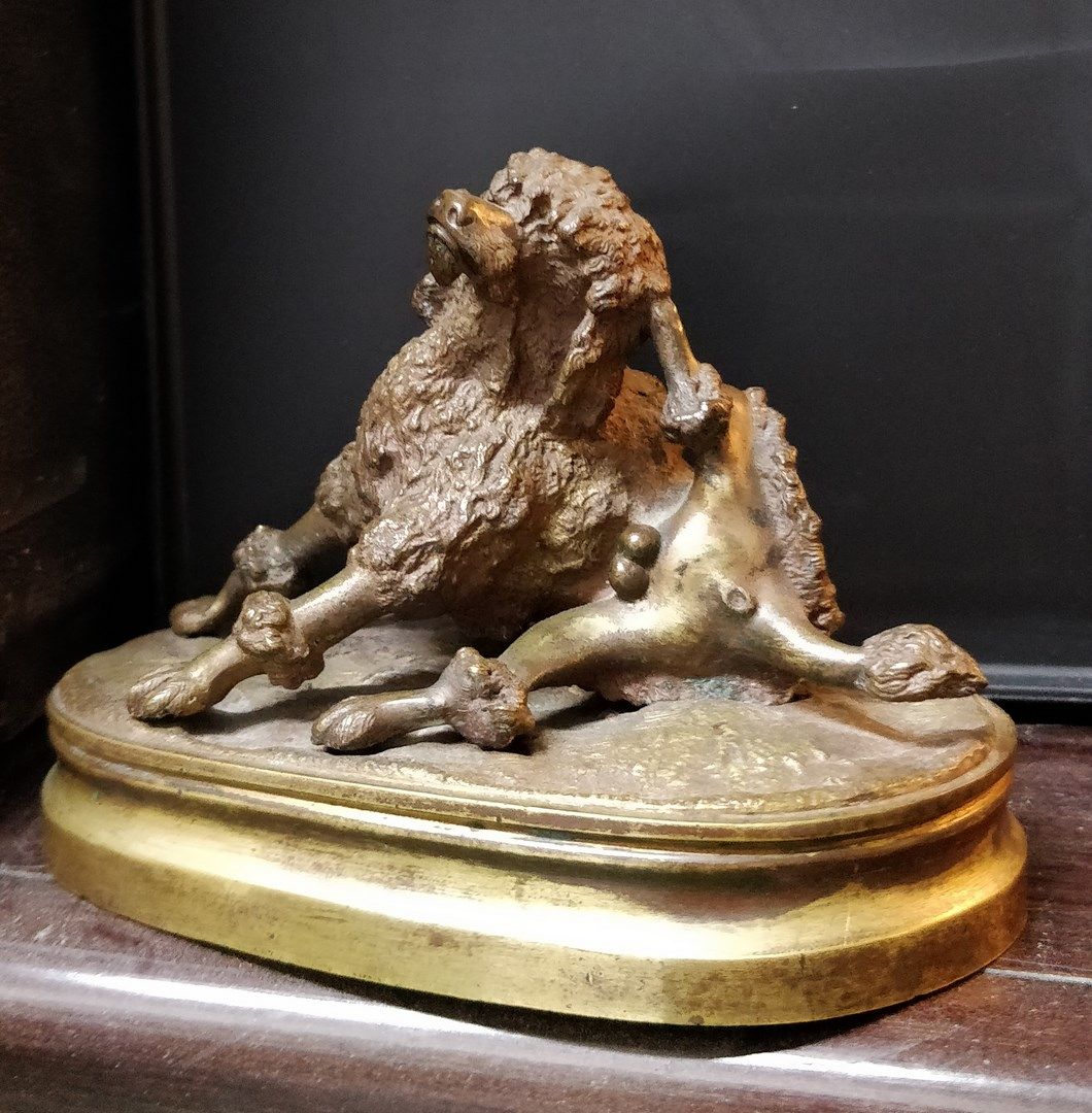 Null 无名氏 十九世纪-二十世纪

狮子狗在他的厕所里

带有棕色和奖章色泽的青铜

磨损的铜锈

高度：9.5厘米 - 长度：12.5厘米