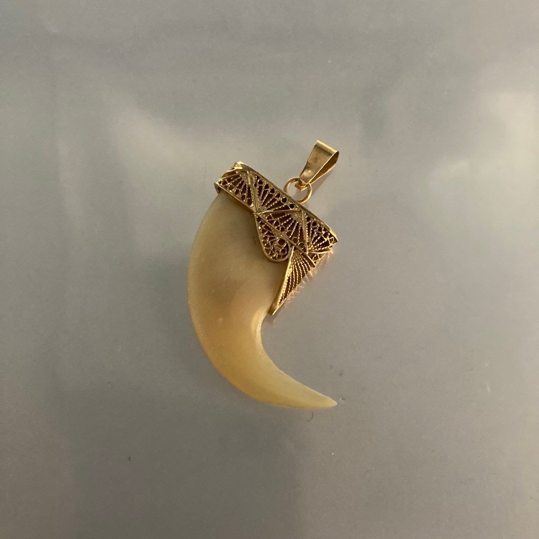 Null 18K (750) yellow gold pendant holding a tiger claw.

Gross weight. : 4.9 g