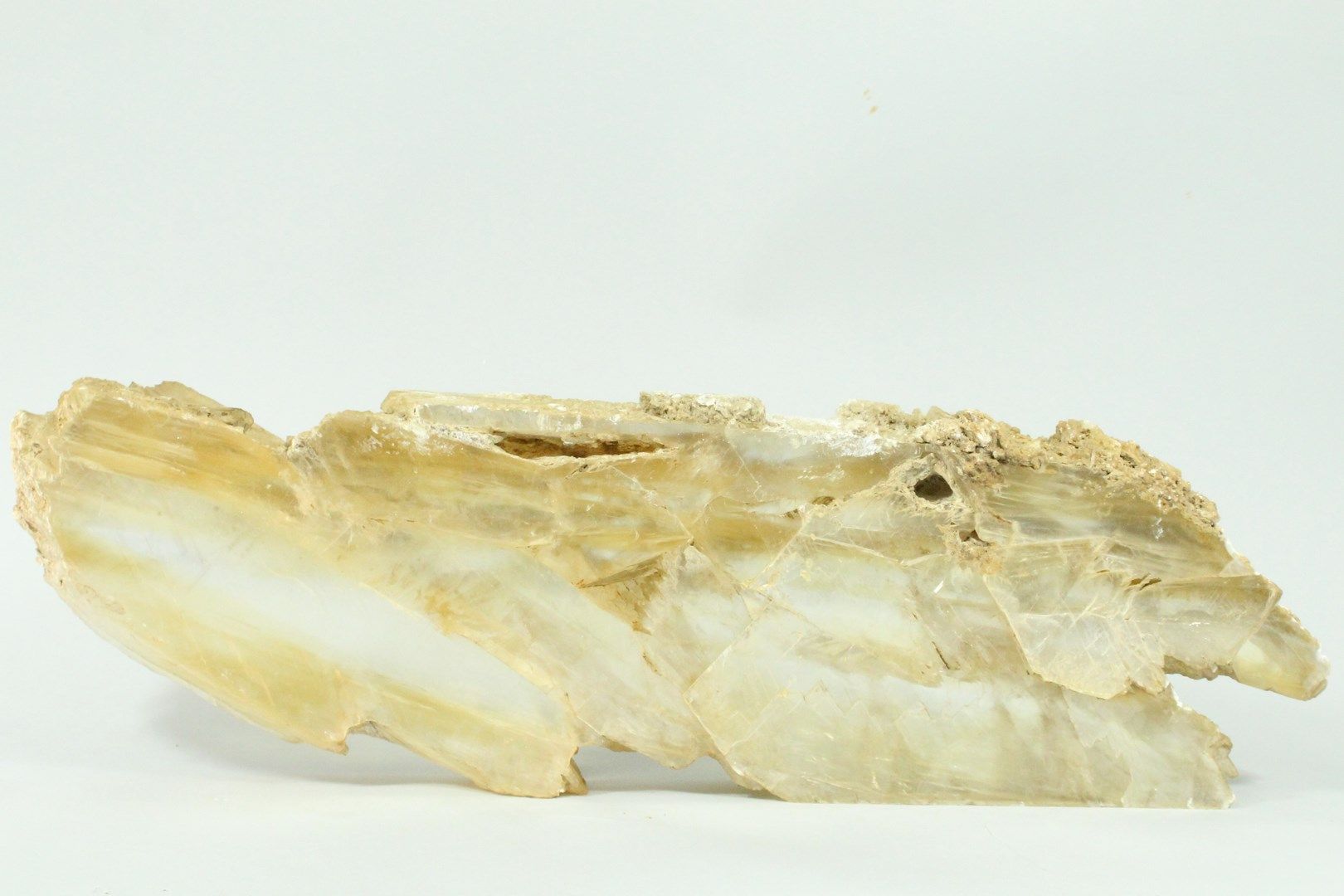 Null GYPSE tranluscide.

Très beaux cristaux. 

Dim. : 68 x 20 x 6.5 cm.