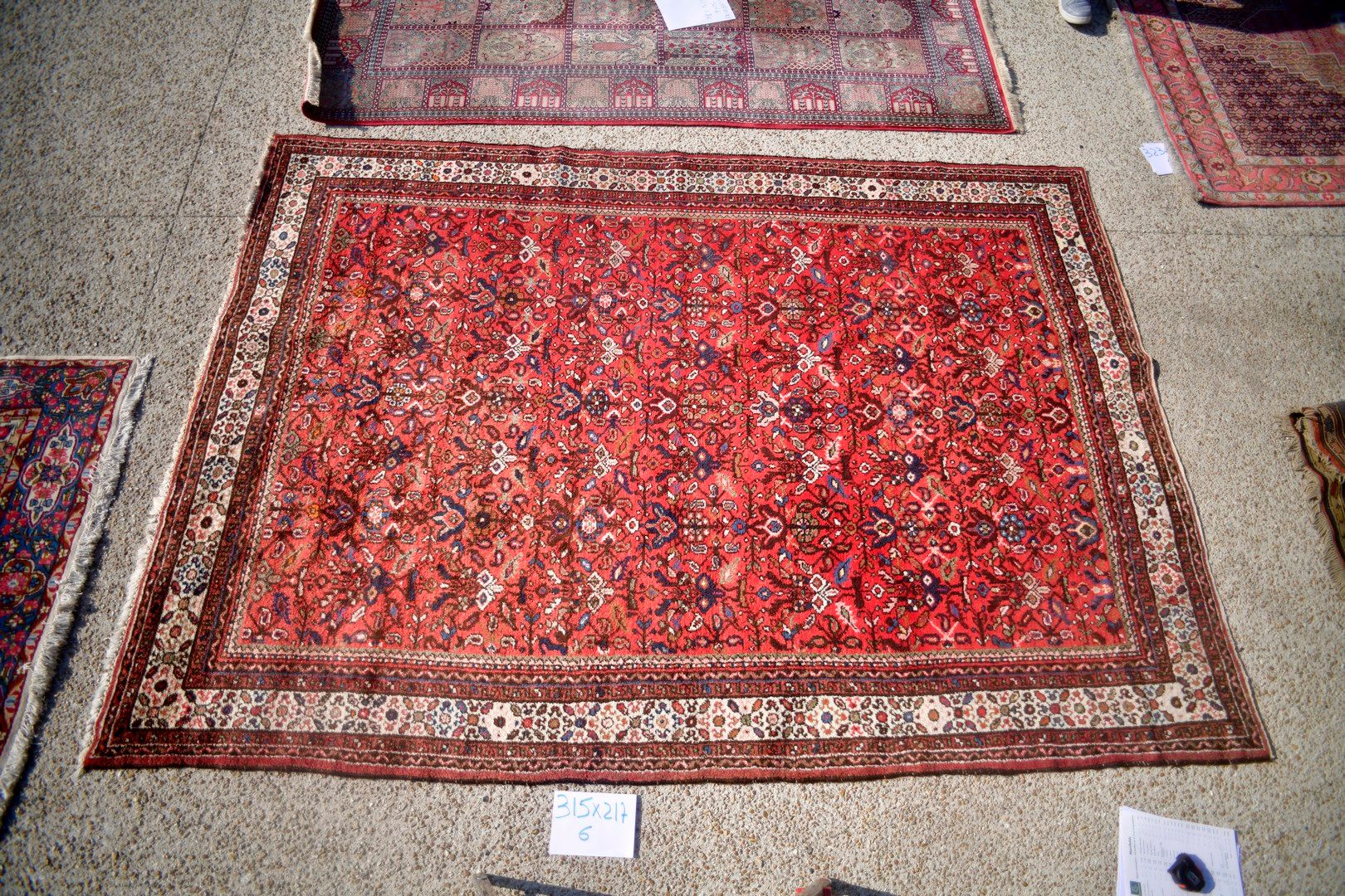 Null Hosseinhab（伊朗），1980年。

羊毛天鹅绒，棉质基础。

红宝石领域，有几何风格的开花植物。

状况良好。

315 x 217 cm