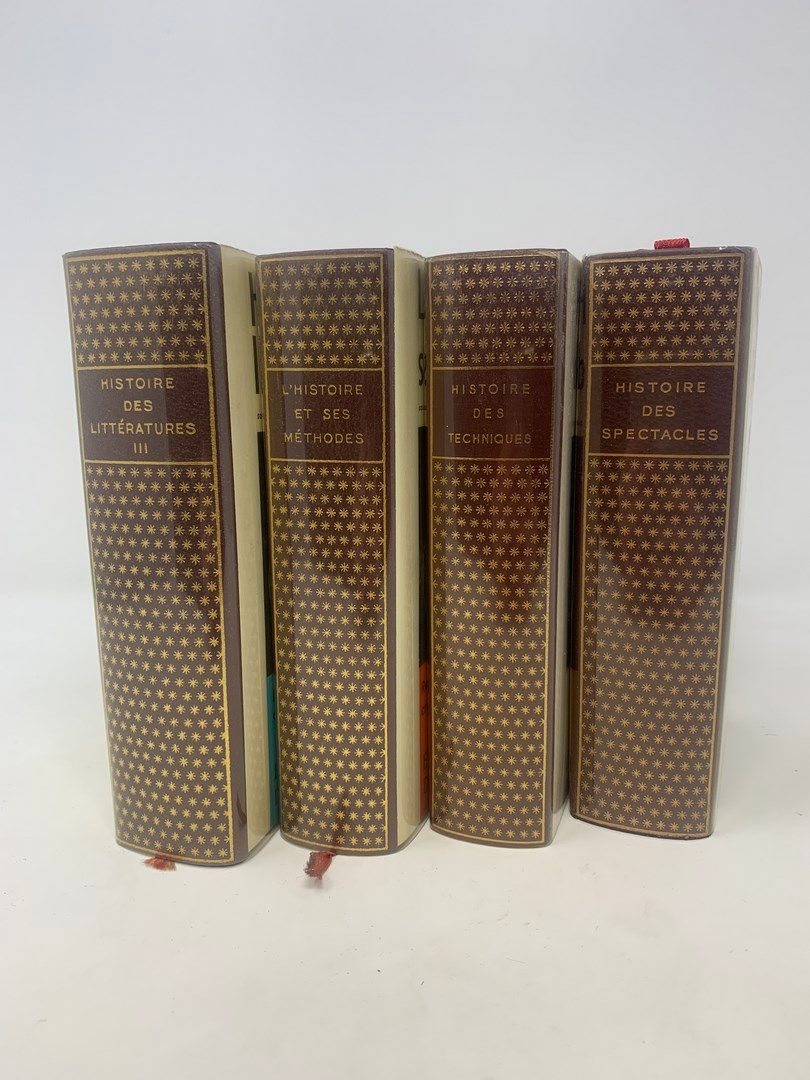 Null BIBLIOTHEQUE DE LA PLEIADE

4 vol.

Histoire des spectacles, Bibliothèque d&hellip;