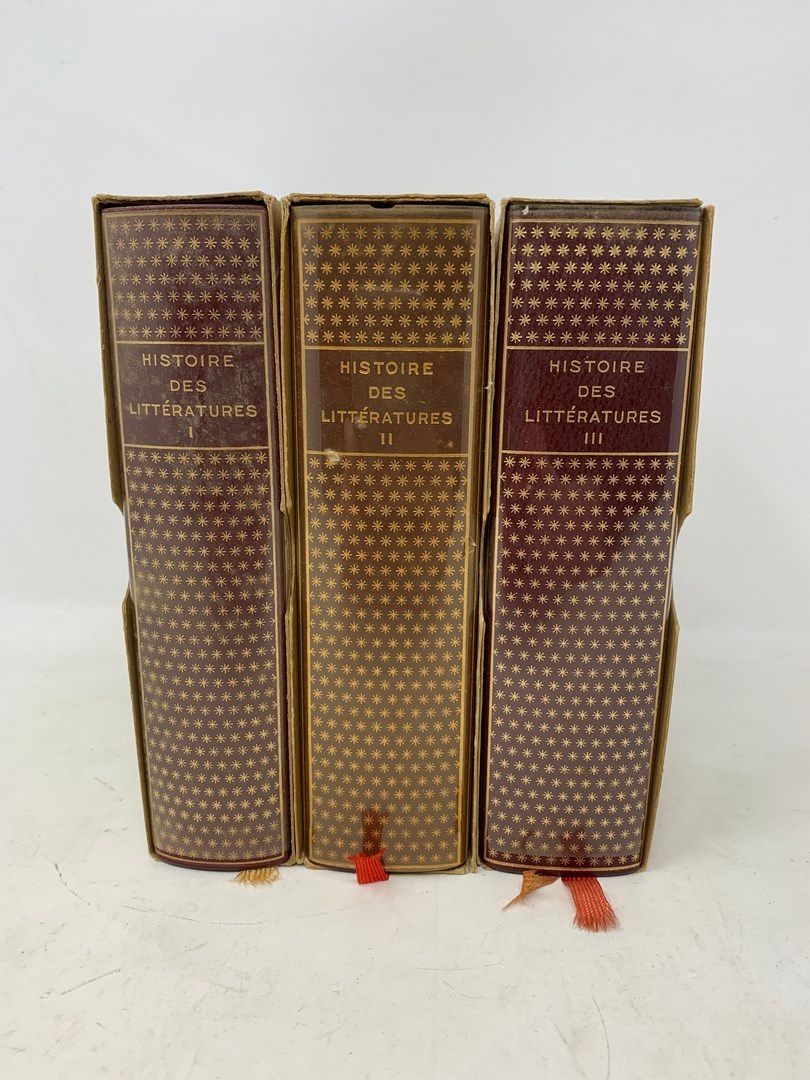 Null BIBLIOTHEQUE DE LA PLEIADE

3 vol.

Histoire des littératures I, Bibliothèq&hellip;