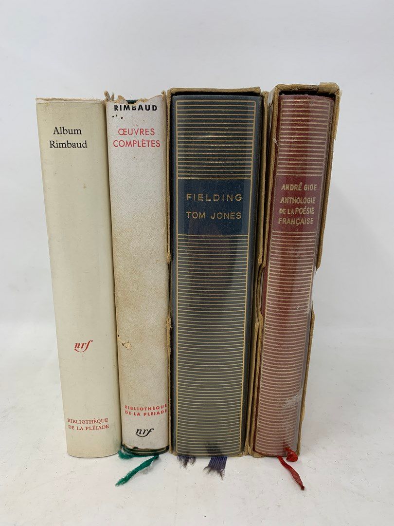 Null BIBLIOTHEQUE DE LA PLEIADE

4 vol.

Album Rimbaud, Bibliothèque de la Pléia&hellip;