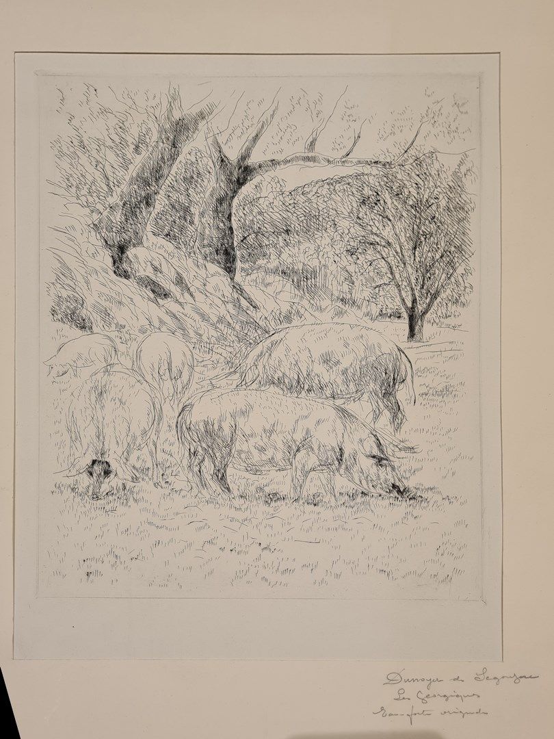 Null 杜诺耶-德-塞贡扎克-安德烈(1884-1974)

猪，因为《乔治》。

蚀刻版画，左下方有注释：Suite 13/225左下方

盘子：28.5 &hellip;