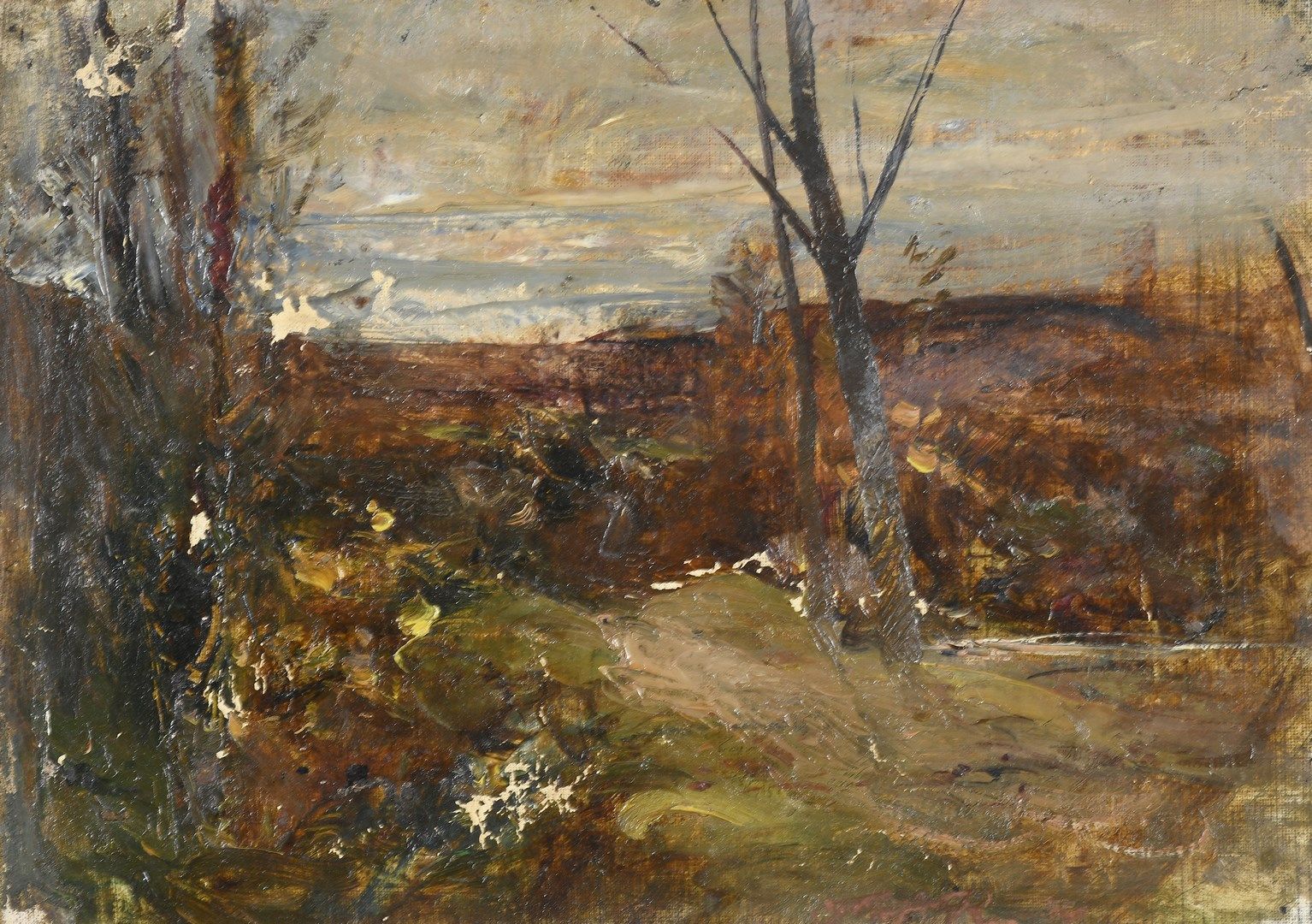 Null RAVIER Auguste, 1814-1895

景观与树木

布面油画，无担架（缺失，已修复）

右下角盖有签名

24,5 x 33,5 cm