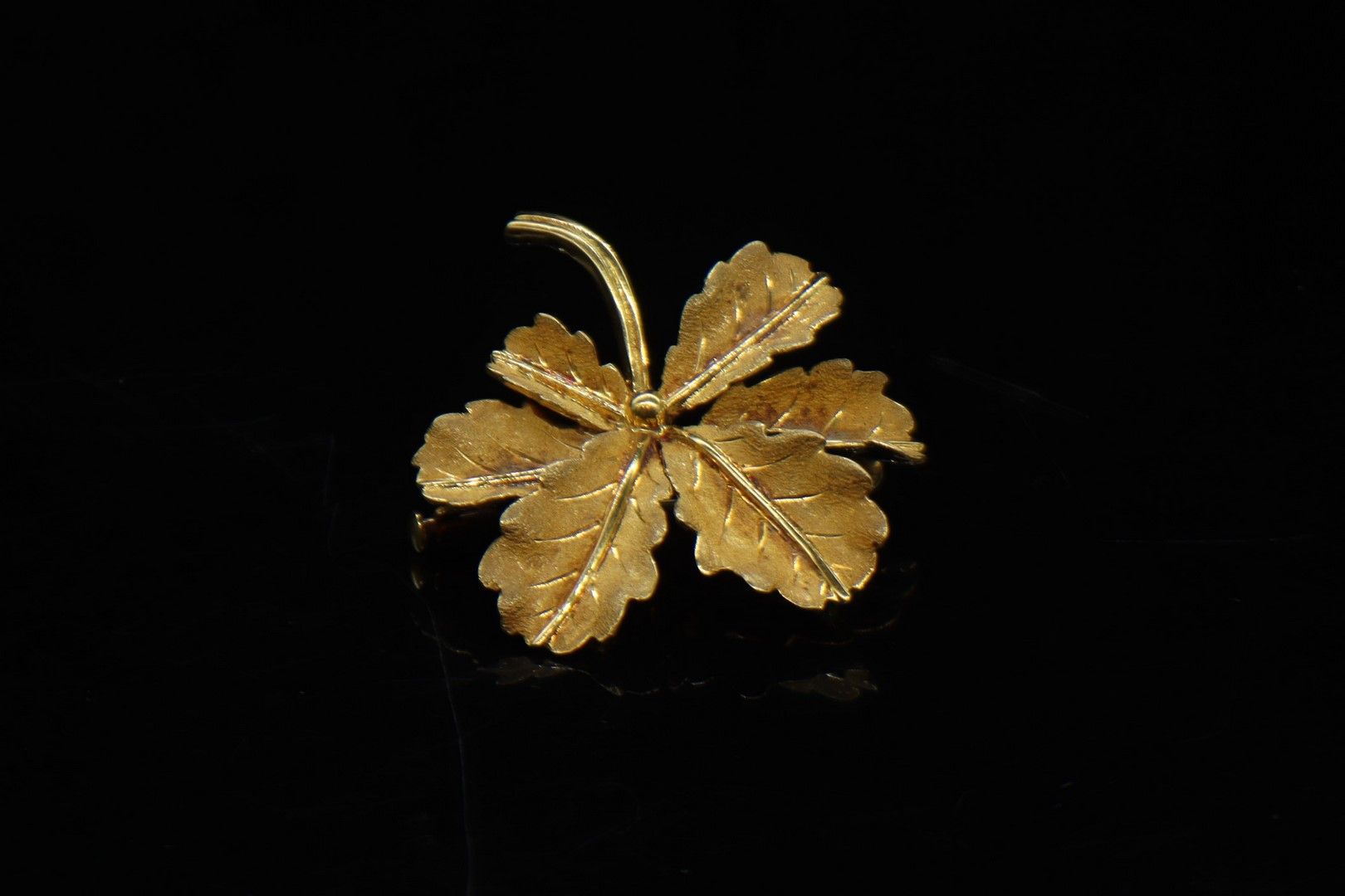 Null 
Brooch in 18k (750) yellow gold "six oak leaves".




Weight. : 7.80 g.