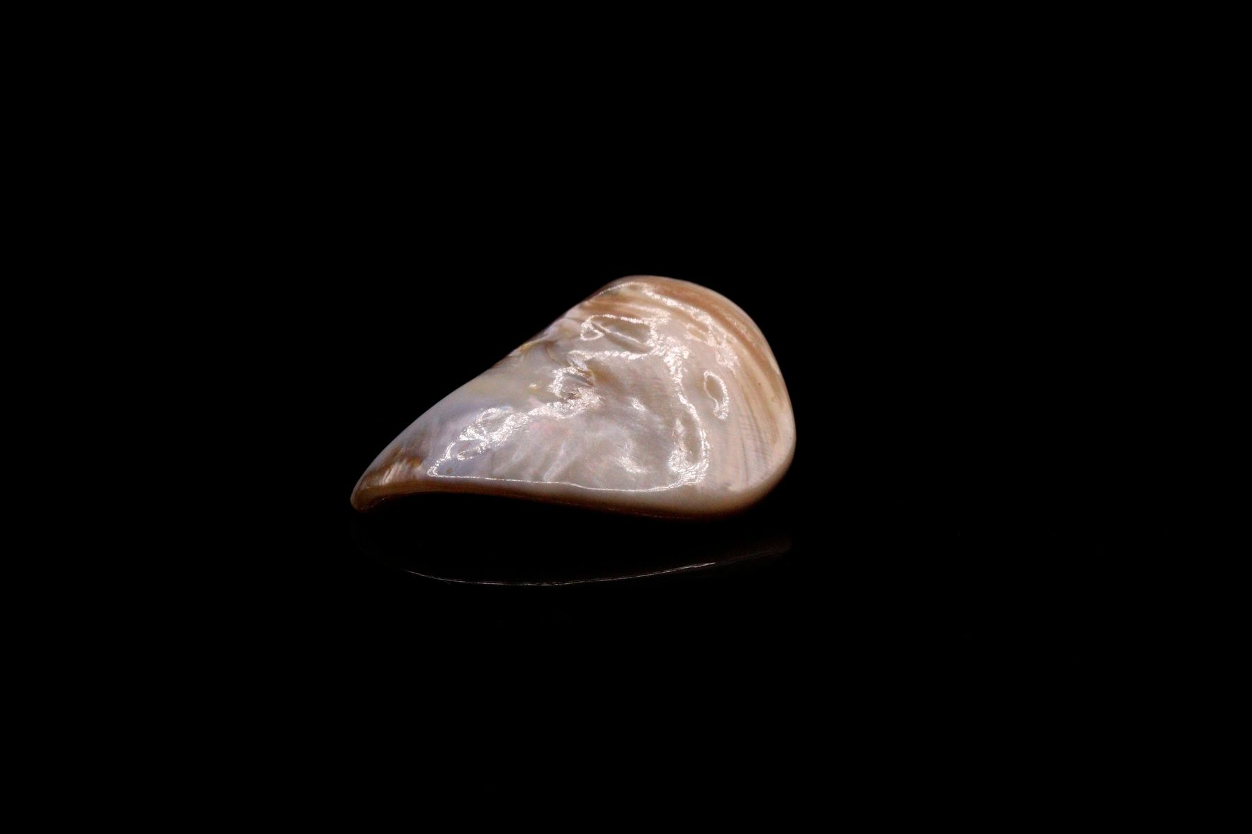 Null Mother-of-pearl piece of pear shape on paper. 
Weight : 18.62 cts. 

Dimens&hellip;