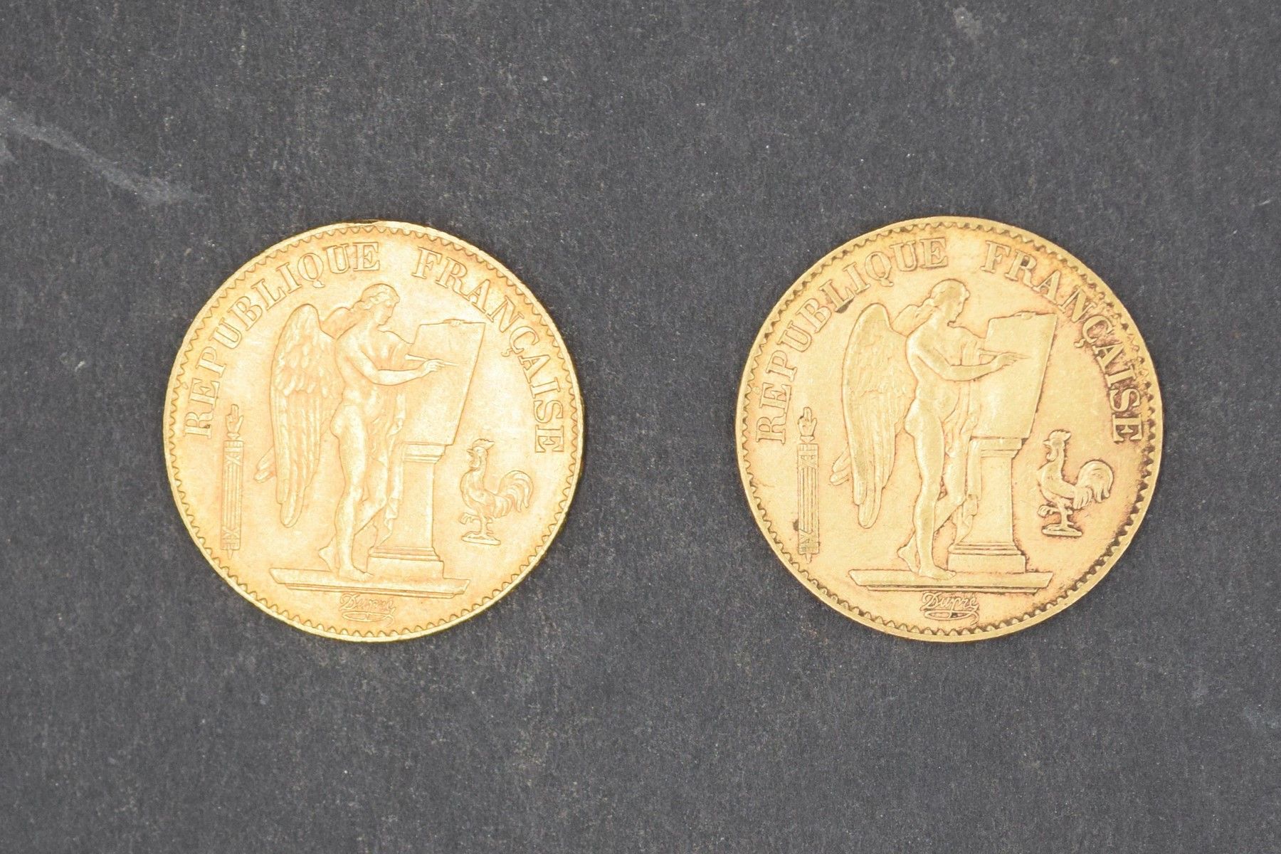 Null Deux pièces en or de 20 Francs Génie - 1896 A

Poids : 12,9 g.