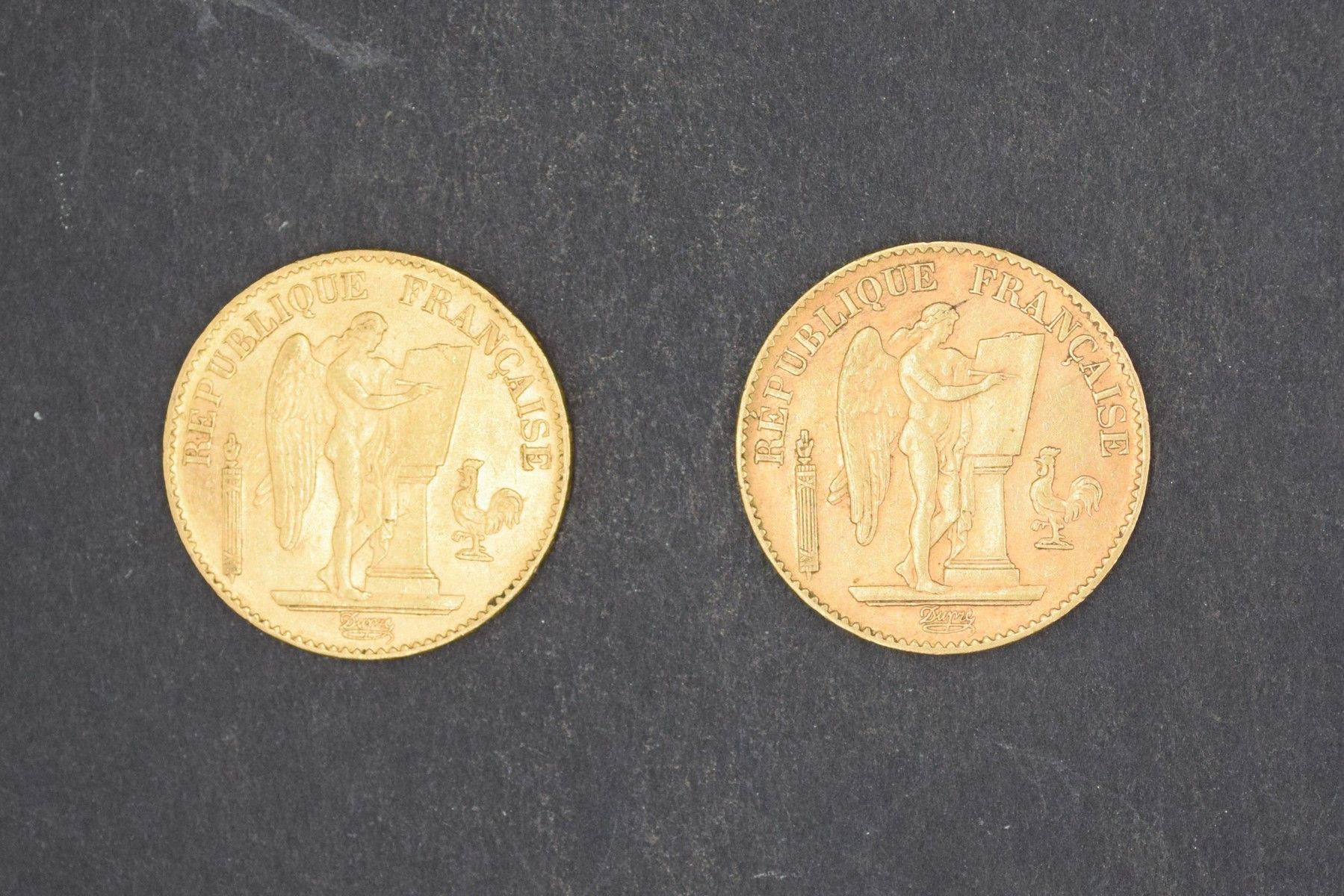 Null Deux pièces en or de 20 Francs Génie - 1893 A

Poids : 12,9 g.
