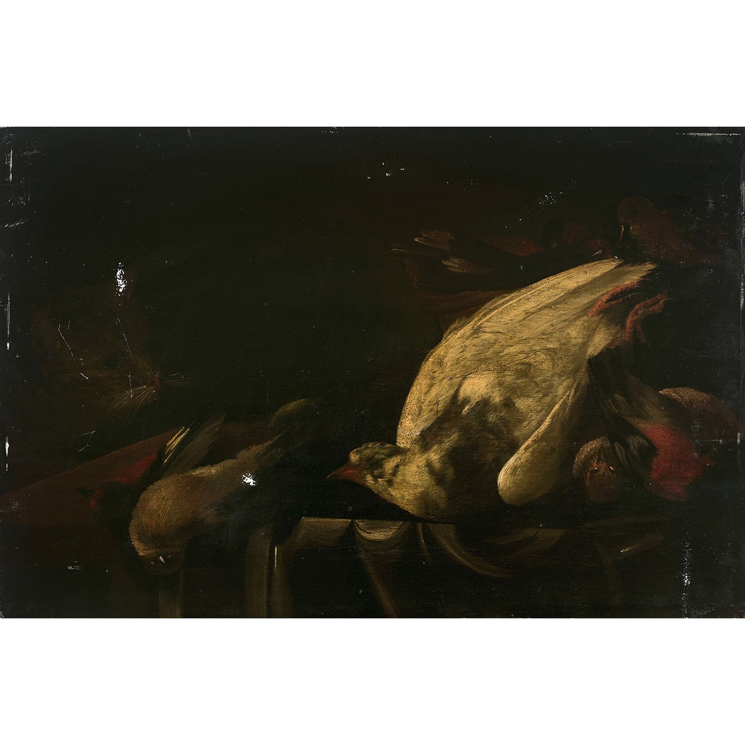Null 归属于ALEXANDER ADRIAENSSEN (1581-1661)
耳房上的鸟和猫
橡木板，镶木地板
无框
摇篮背面的铭文和背面的标签：Verd&hellip;