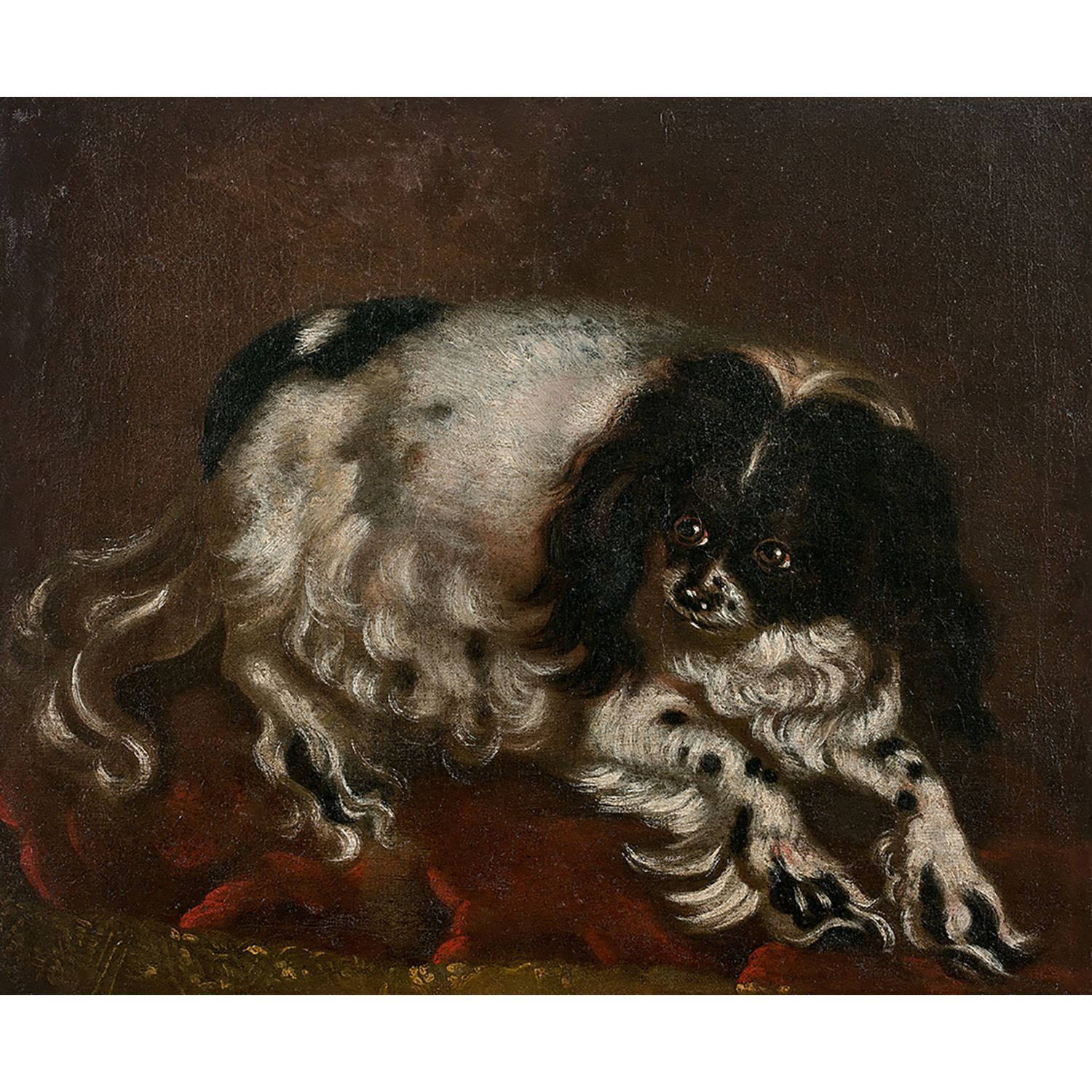 Null 归属于Jean CHAPPE（17世纪下半叶活跃于兰斯）
垫子上的小猎犬
帆布
无框架
担架背面有铭文：B.Lier chien de Marie A&hellip;