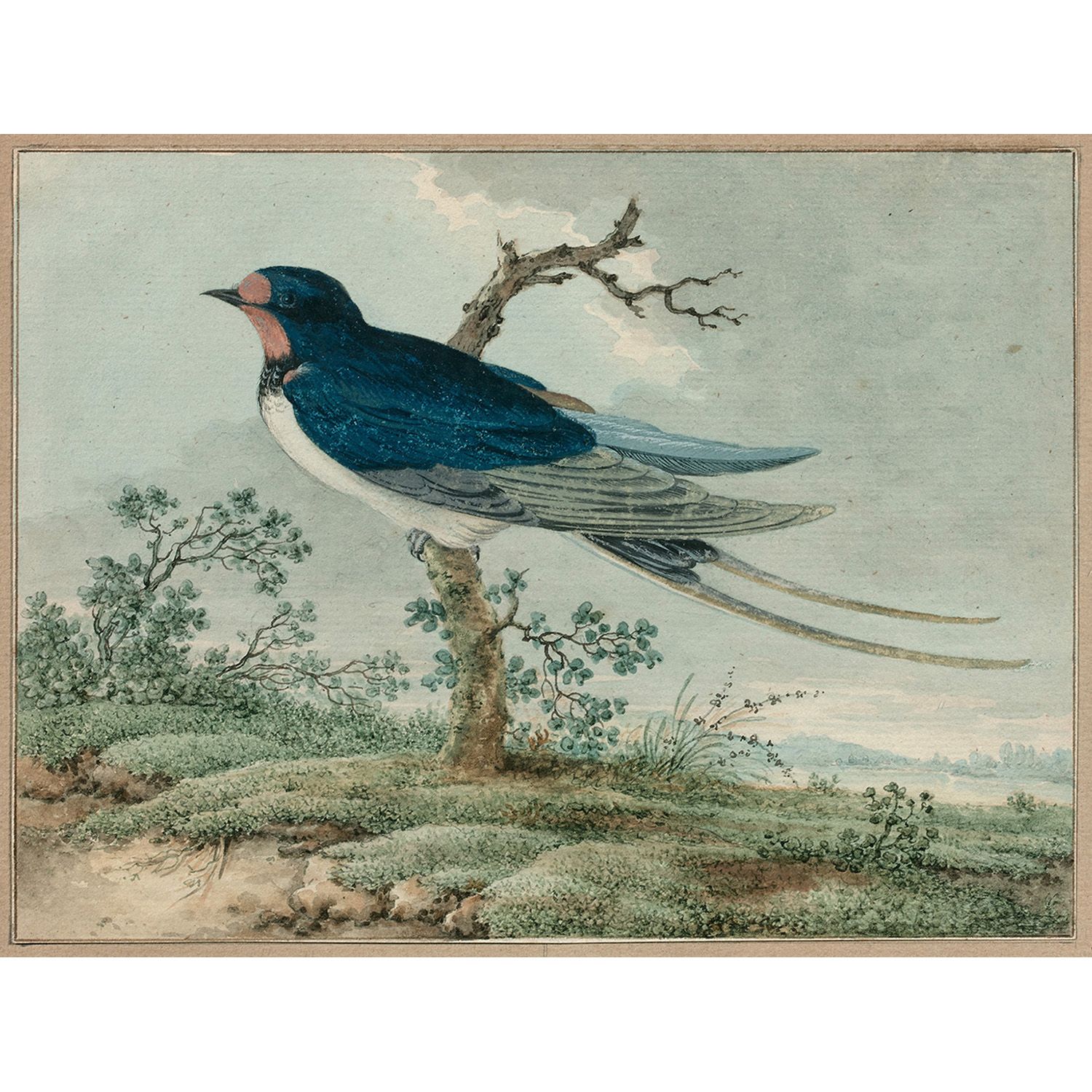 Null 
GERARD VAN VEEN (attivo in Olanda verso il 1620-1683)
A chimney swallow, c&hellip;