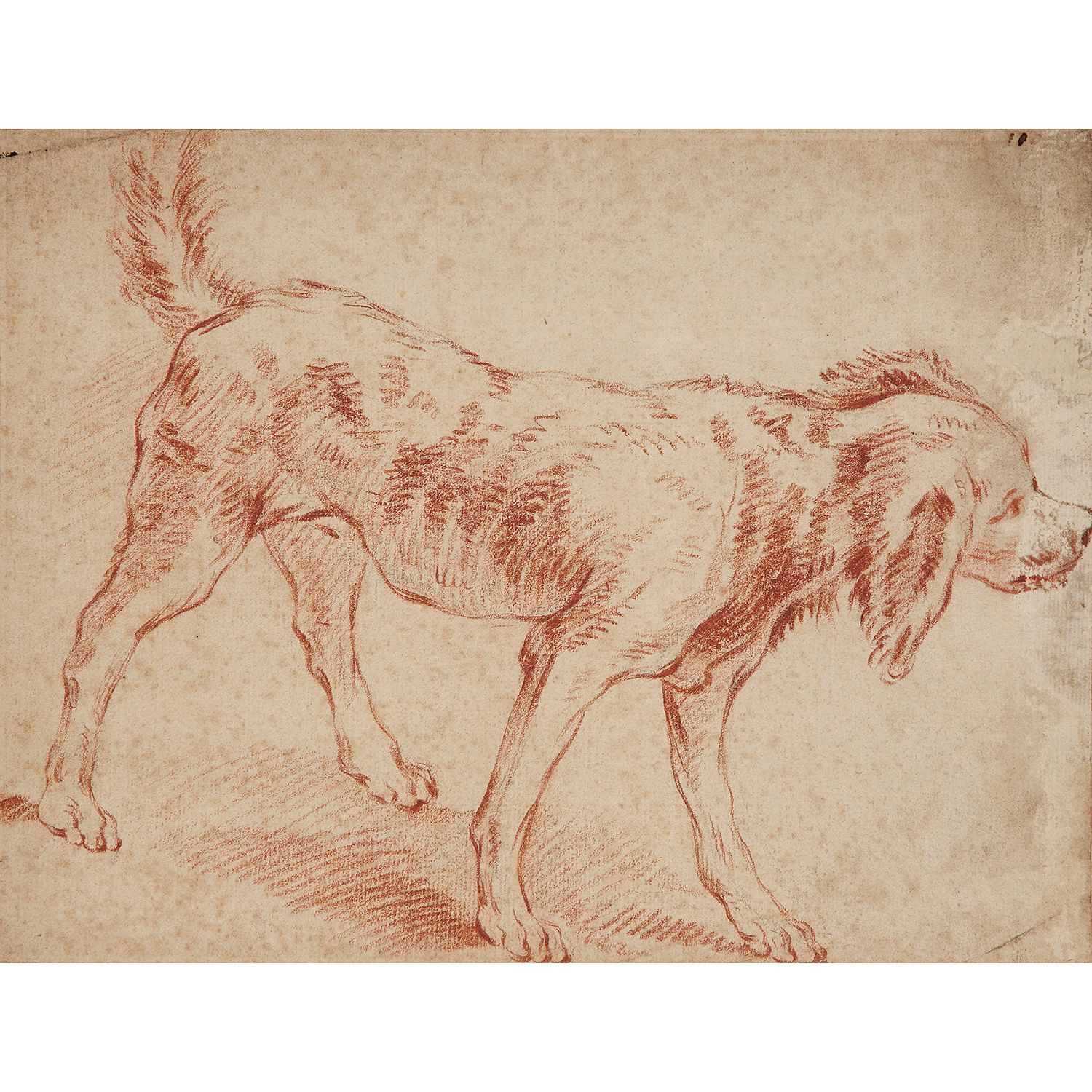 Null 18世纪法国学校

对一只狗的研究

三毛

有衬里，右侧缺失（5cm2），有污点



18世纪的法国学校，狗的研究，桑格纳

7 1/2 x 9 &hellip;