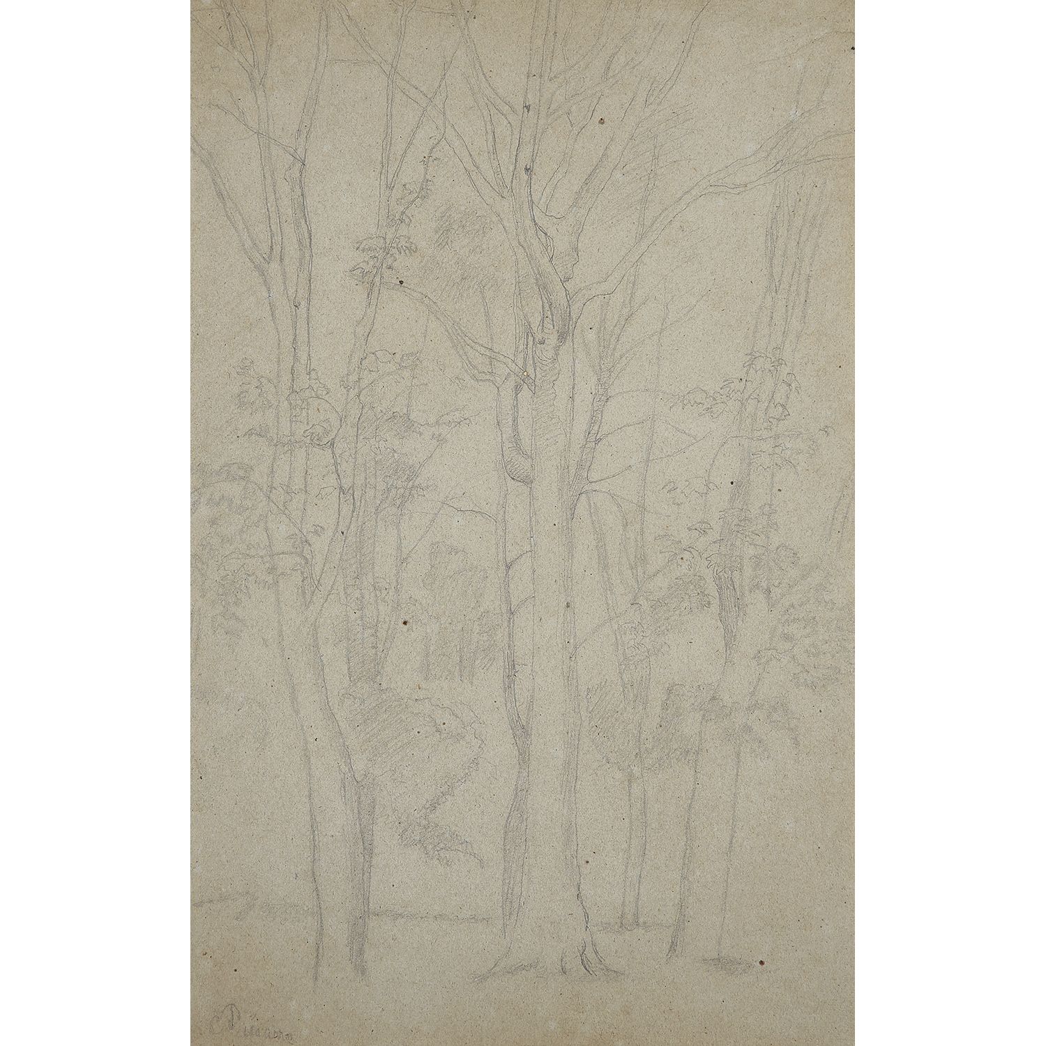 Null 卡米尔-皮萨罗(1830-1903) 
树 
纸上铅笔 
左下角有签名
 纸上铅笔，左下角有签名 
44 x 28 cm - 17 3/8 x 11 &hellip;