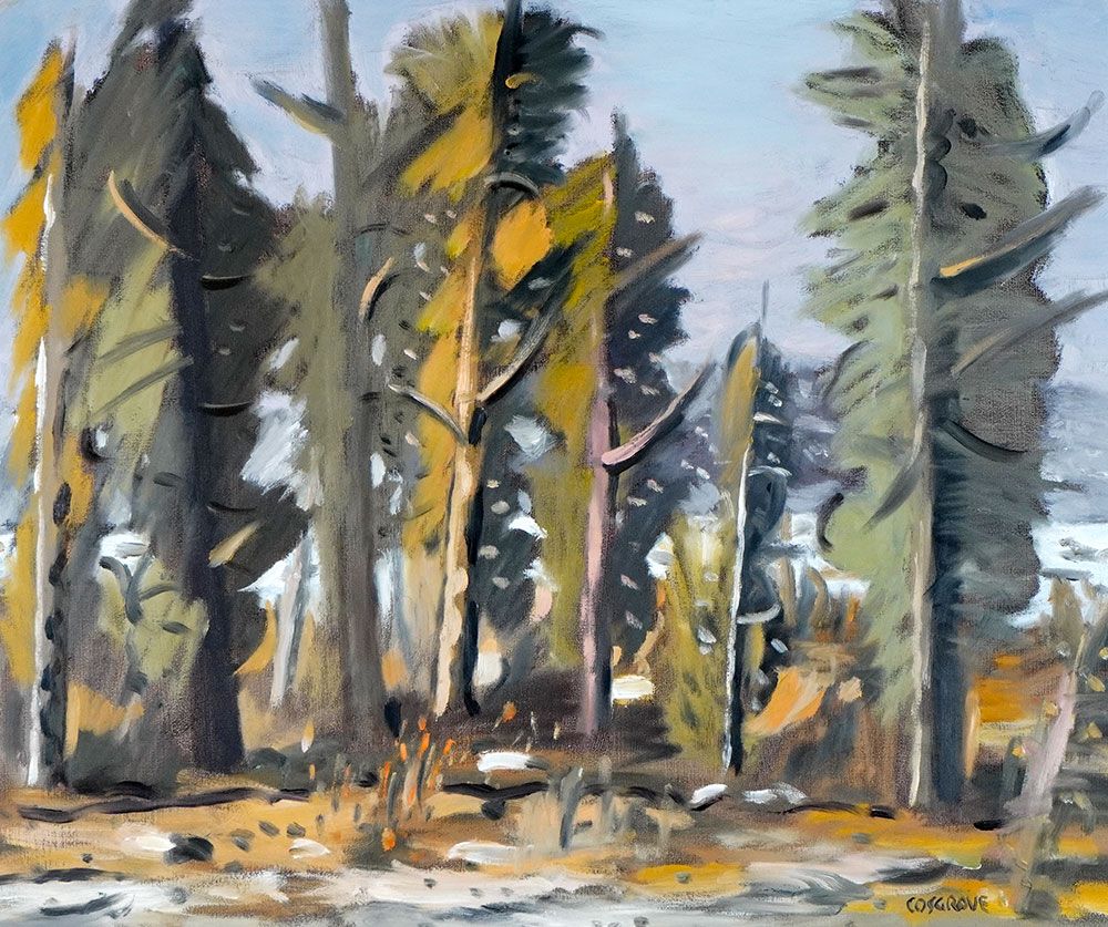 Null COSGROVE, Stanley Morel (1911-2002)
"Sous bois"
Oil on board
Signed on the &hellip;