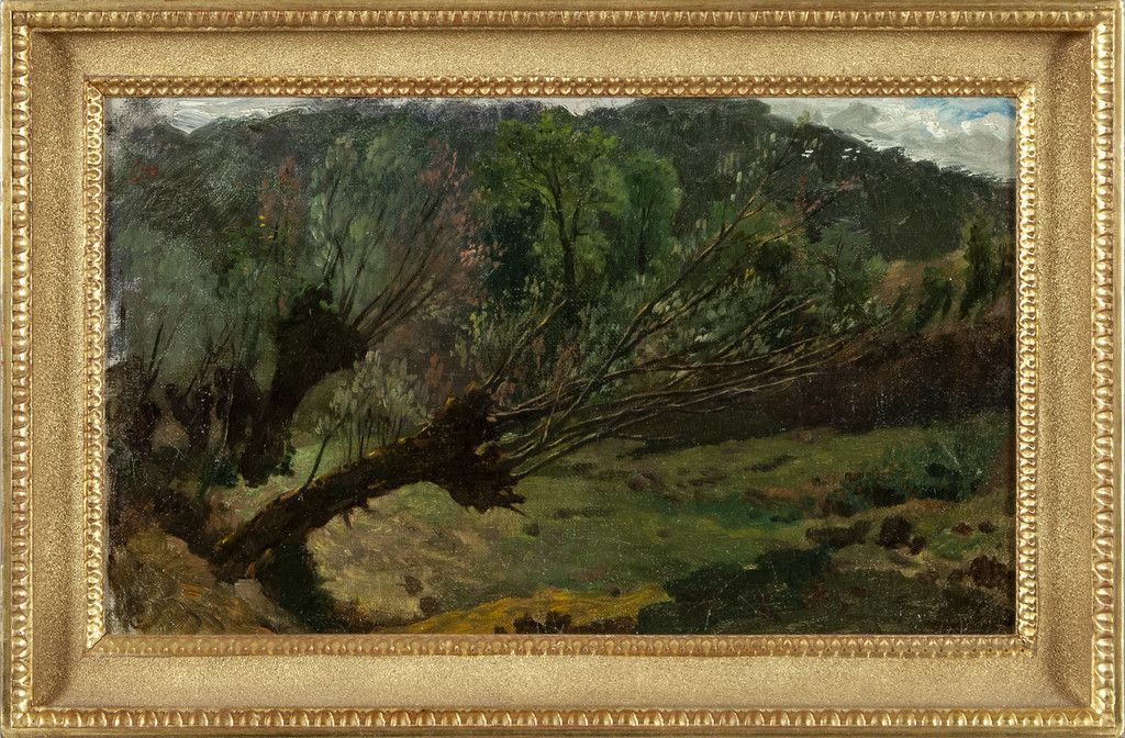 GIULIANO BARTOLOMEO BARTOLOMEO GIULIANO (1825-1909) 
Paesaggio montano
olio cm.4&hellip;