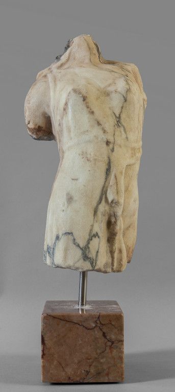 Frammento di torso femminile in marmo paonazzo, 红棕色大理石制成的女性躯干碎片，16世纪
h.Cm.46 约。