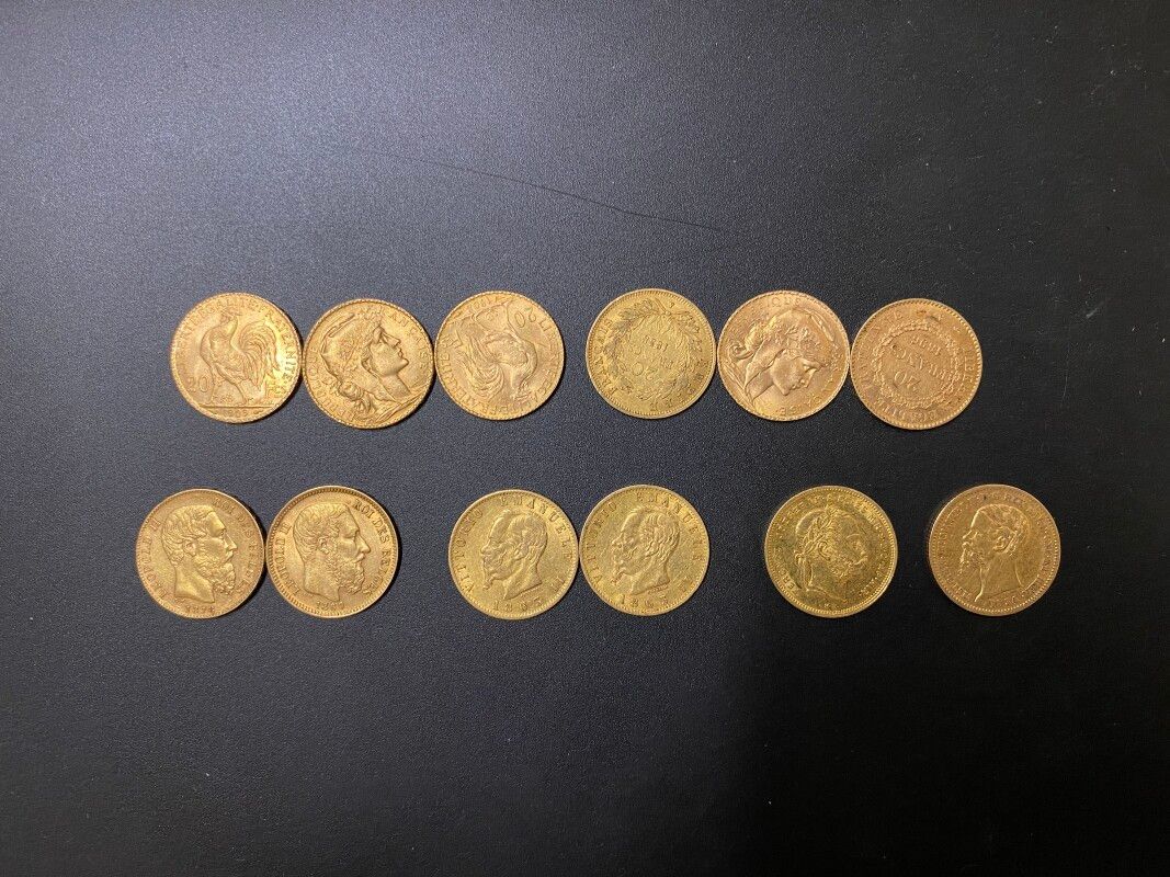 Null Douze pièces en or : 6 pièces de 20 francs FR, deux pièces de 20 francs bel&hellip;