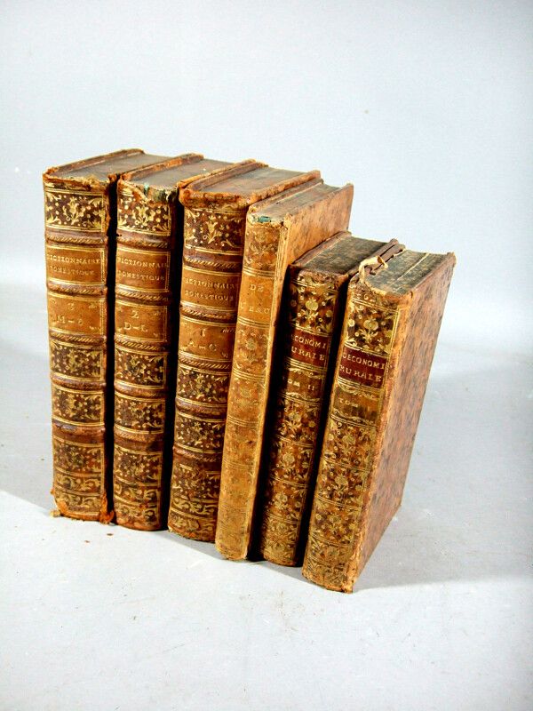Null 1.[农业]。一套6本18世纪的书，以大理石棕褐色基底和装饰的书脊装订，主题为：BERTRAND（Jean）。De l'eau relativemen&hellip;
