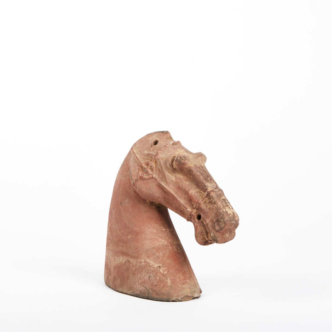 Null Terracotta horse head

HAN period

Height : 16cm



Expert : ANSAS&PAPILLON