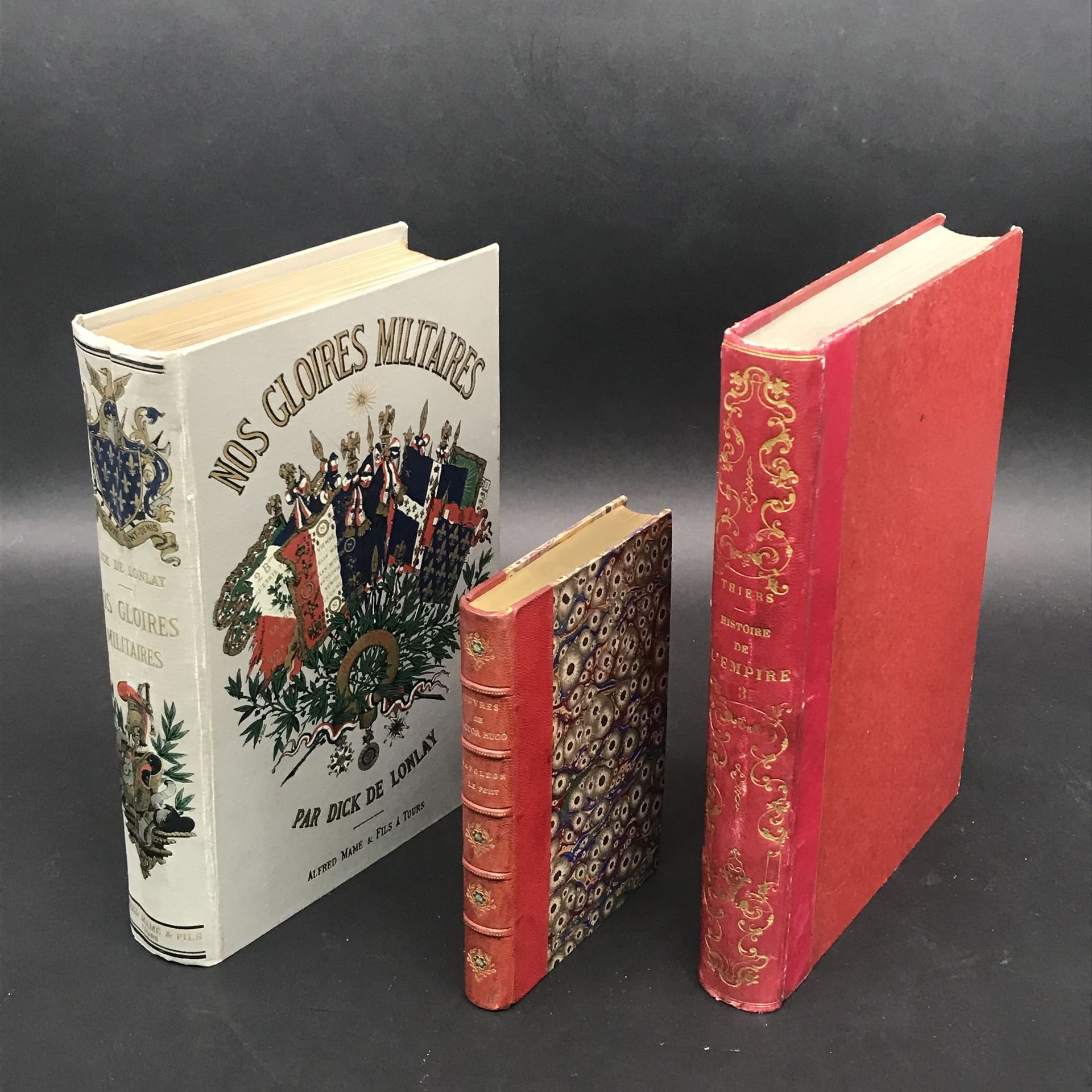 Null 一箱关于拿破仑主题的书籍

梯也尔的《帝国史》四卷本，维克多-雨果的《小拿破仑》，赫策尔版，阿尔弗雷德-马姆的《我们的军功》，以及各种。