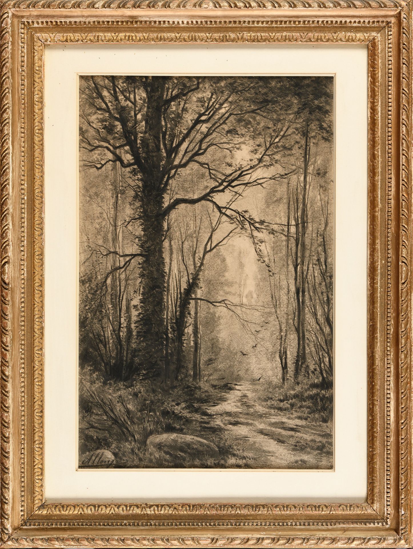 Null Auguste ALLONGE (1833-1898) Forêt Fusain Signé en bas à gauche 28 x 43 cm A&hellip;