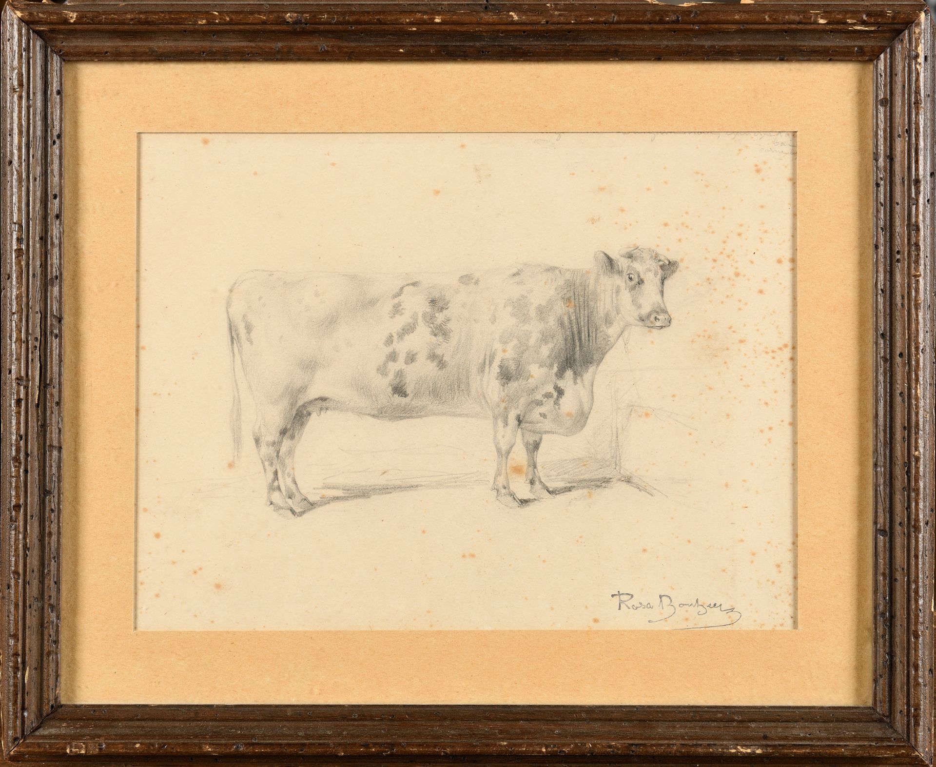 Null 罗莎-邦霍尔（1822-1899） 牛的研究 铅笔画 签名章右下角（L.275) 17,5 x 23,5 cm (见图) 带画框：27,5 x 33 &hellip;