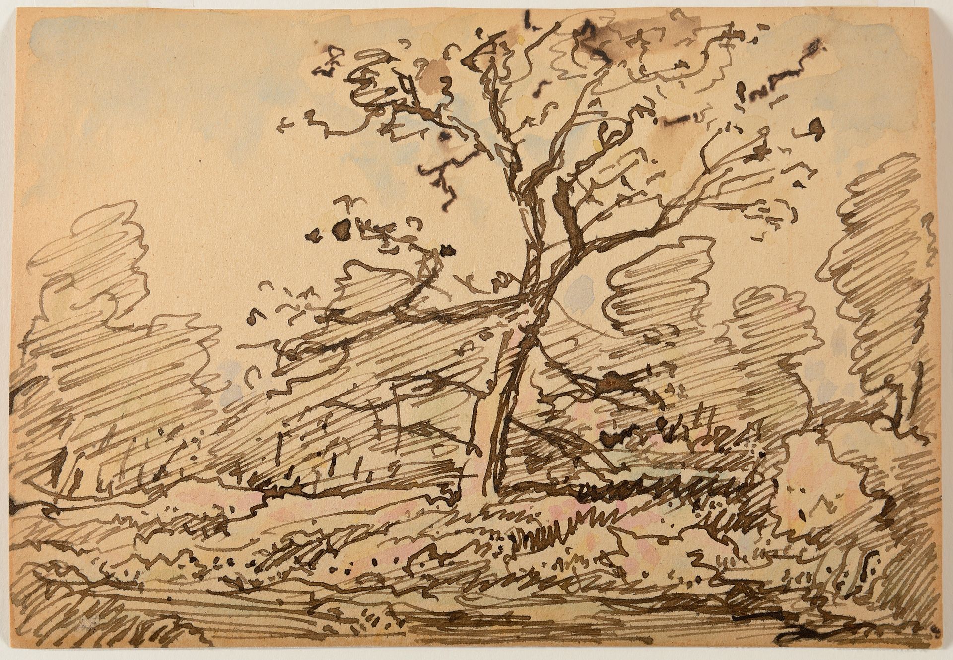 Null 泰奥多-卢梭（1812-1867）《枫丹白露森林中的树木》，约1860年 印度墨水和水彩高光画 16 x 21 cm 将向买方提供《泰奥多-卢梭绘画作&hellip;