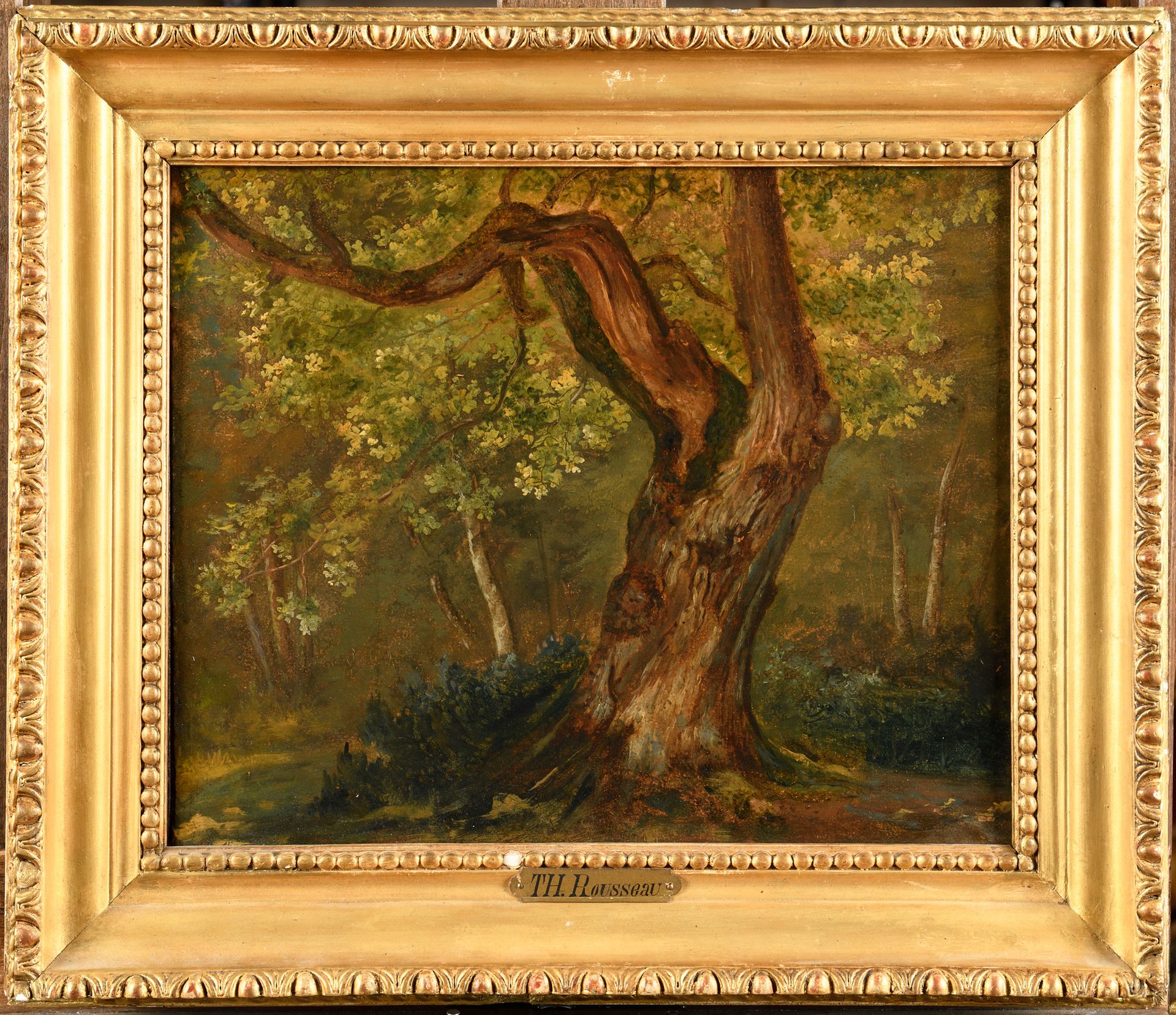 Null 泰奥多-卢梭(1812-1867) 树的研究 早期作品 约1829/1832 纸上油画 裱在画布上 29 x 35 cm 带画框：40,5 x 47 &hellip;