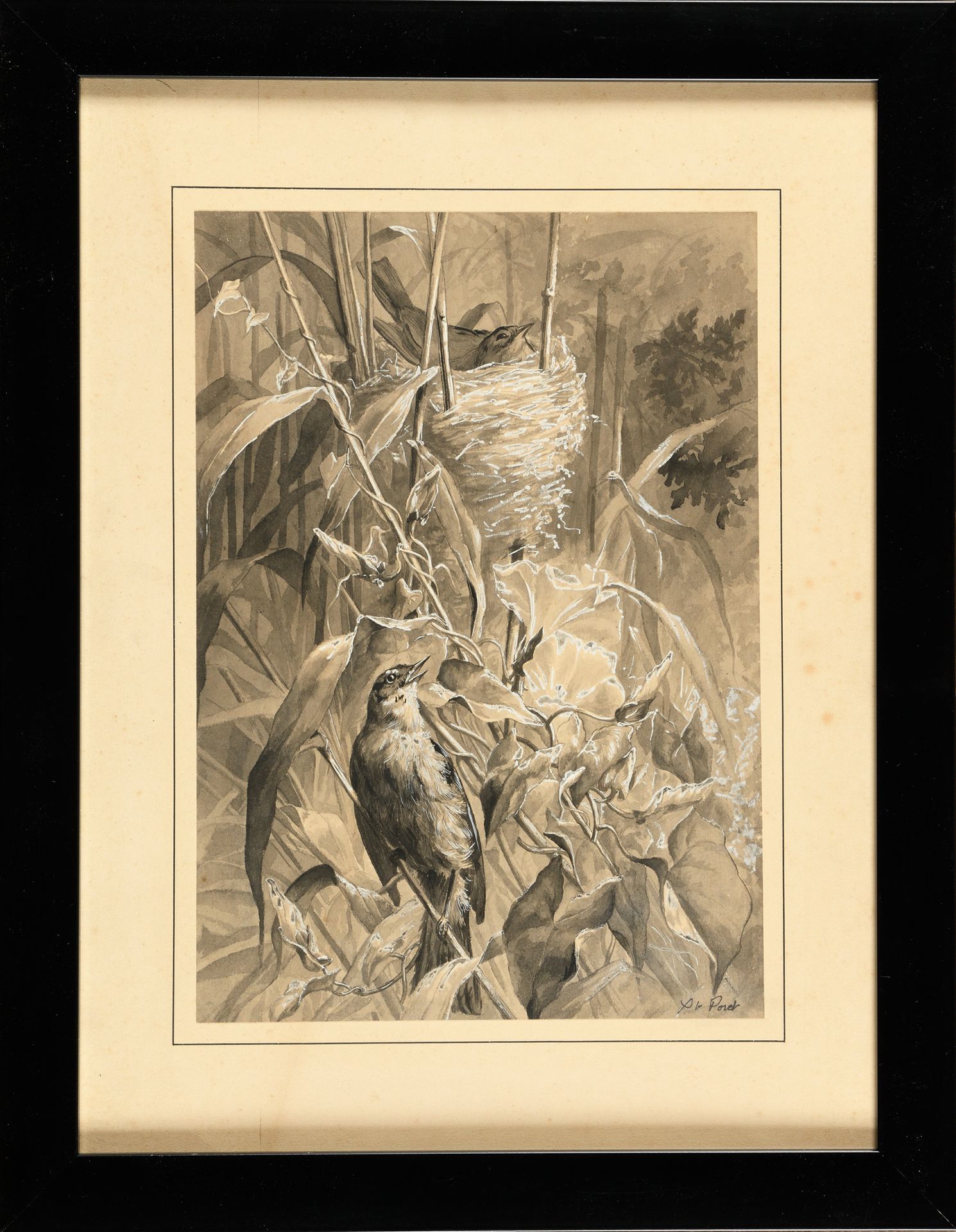 Null Xavier DE PORET (1894-1975) Oiseaux au nid 右下角签名 30 x 21 cm 带框架：46 x 35 cm &hellip;