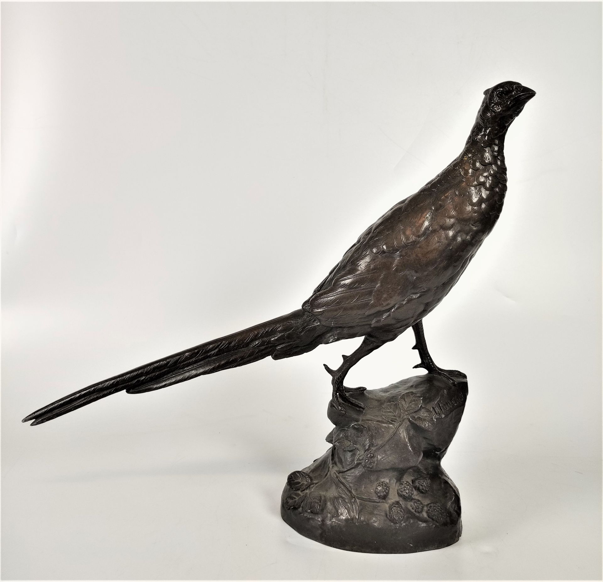 Null Léon BUREAU (1866-1906) Pheasant Bronze with double brown patina Signed on &hellip;