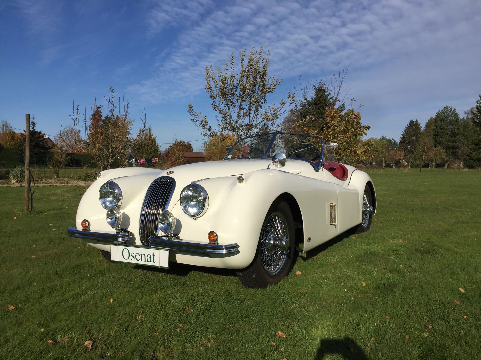 1954 JAGUAR XK 120 ROADSTER Serial number: 675009

Superb condition

French coll&hellip;