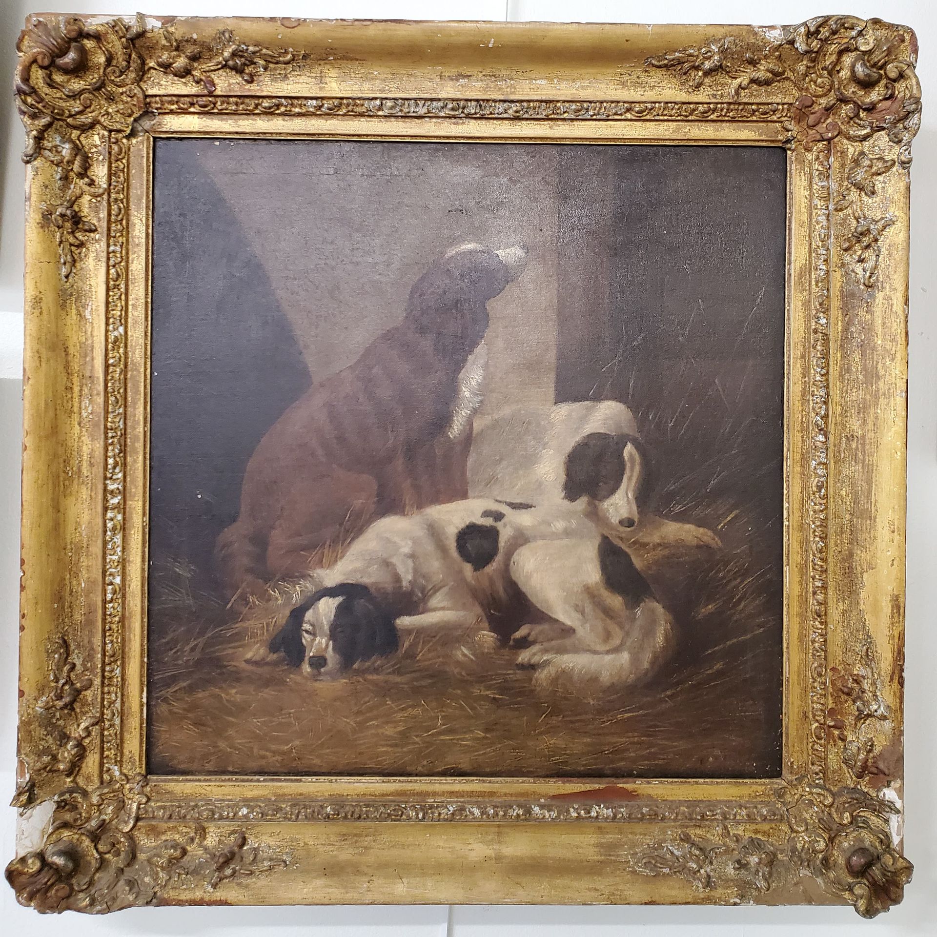 Null ECOLE DU XIXème SIECLE

Chiens endormis 

Huile sur toile 

43 x 41 cm