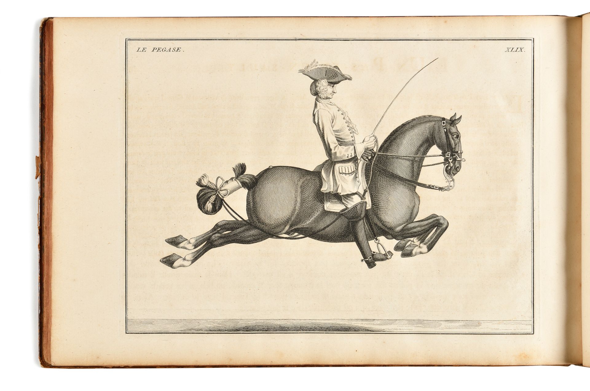 Null EISENBERG (Friedrich-Wilhelm Reis von).骑马的艺术，或现代骑术学校的描述，其完美性。在海牙，由P. Gosse &hellip;
