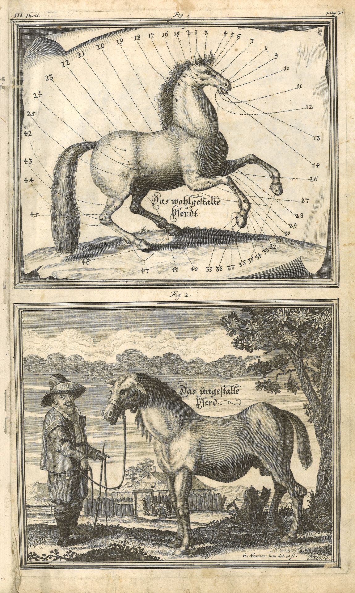 Null [LÖHNEYSEN (Georg Engelhard).约60张铜版画，摘自他的作品《Della cavaleria》的一个版本，对开本，半棕色花岗&hellip;