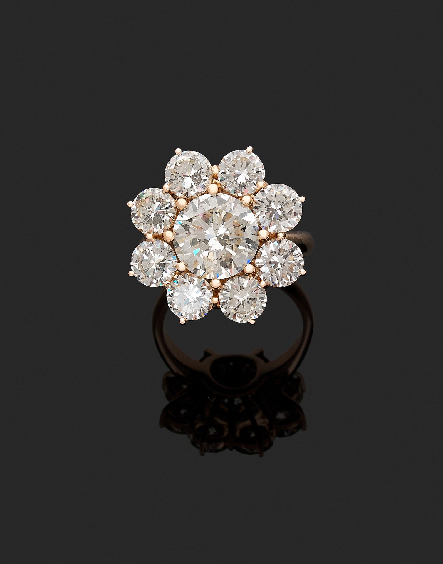 Null 戒指 

手持一朵花，在8颗明亮式切割钻石的镶嵌下，有一颗2.70克拉的明亮式切割钻石。镶嵌在18K黄金中。 

钻石的总重量估计：6.30克拉。 
&hellip;