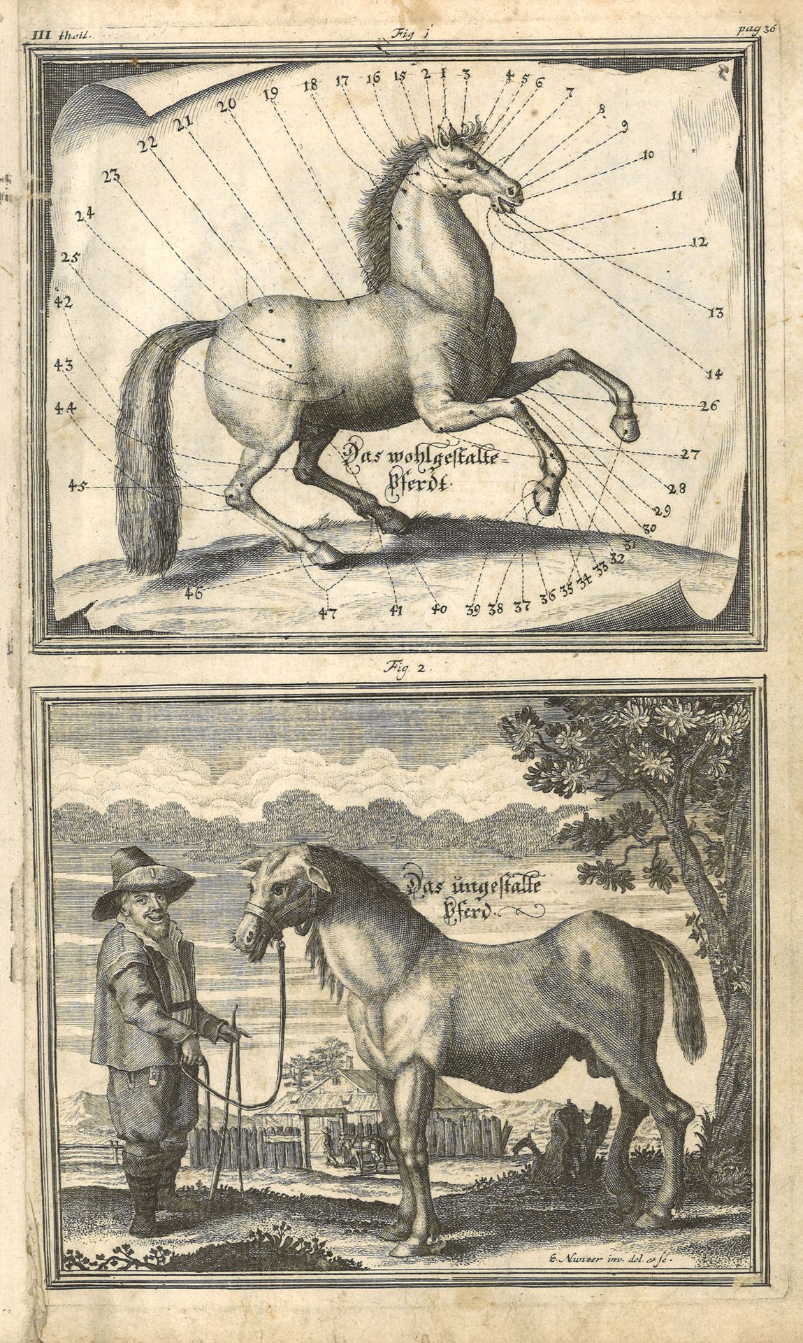 Null [LÖHNEYSEN（Georg Engelhard）。约60张铜版画，摘自他的作品《Della cavaleria》的一个版本，对开本，半棕色花岗岩&hellip;