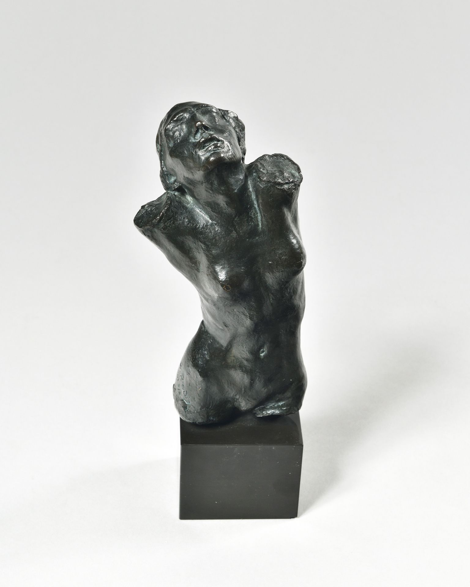 Null AUGUSTE RODIN (1840-1917)

Torse de la centauresse

Bronze à patine noire n&hellip;